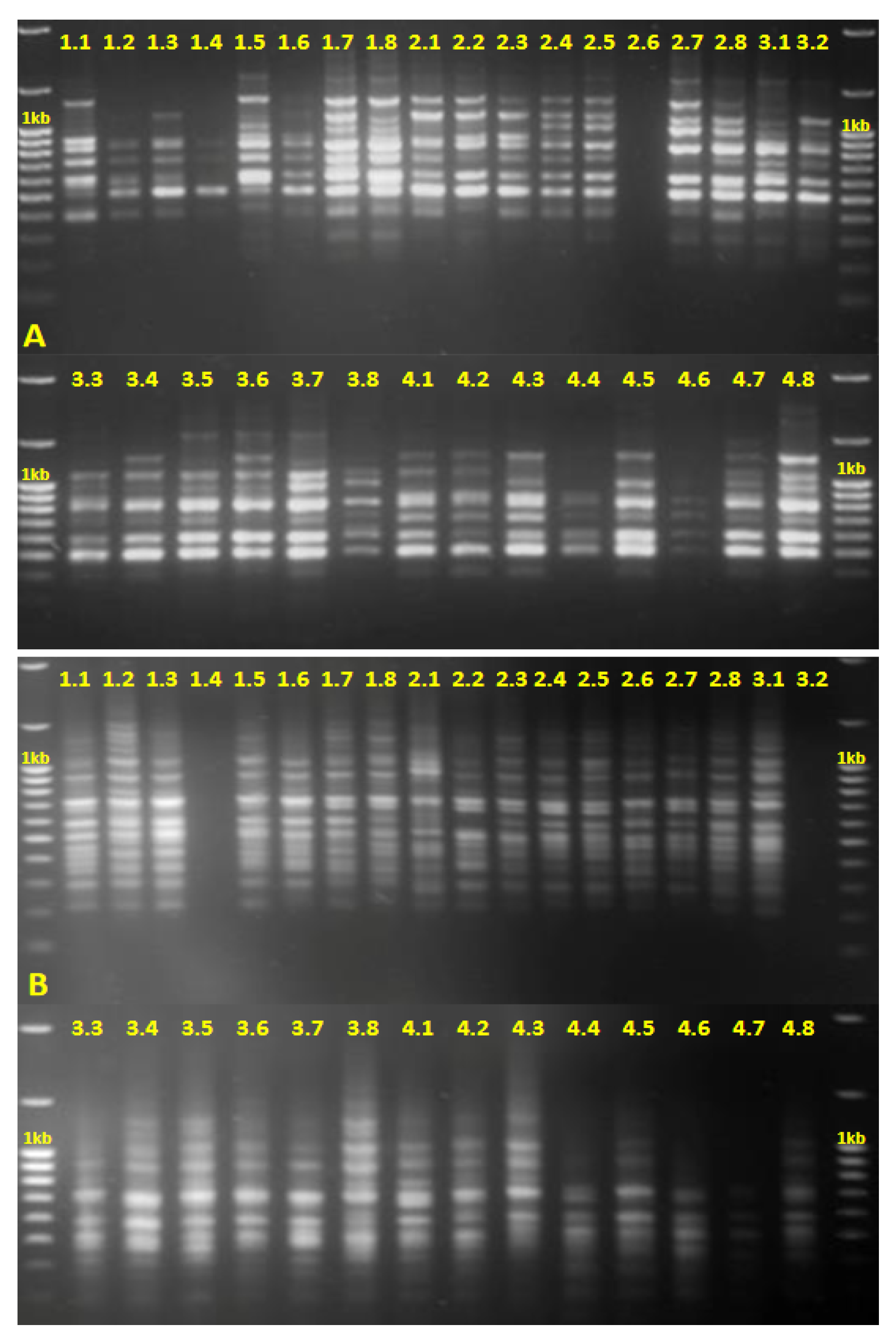 Agriculture 13 01428 g004