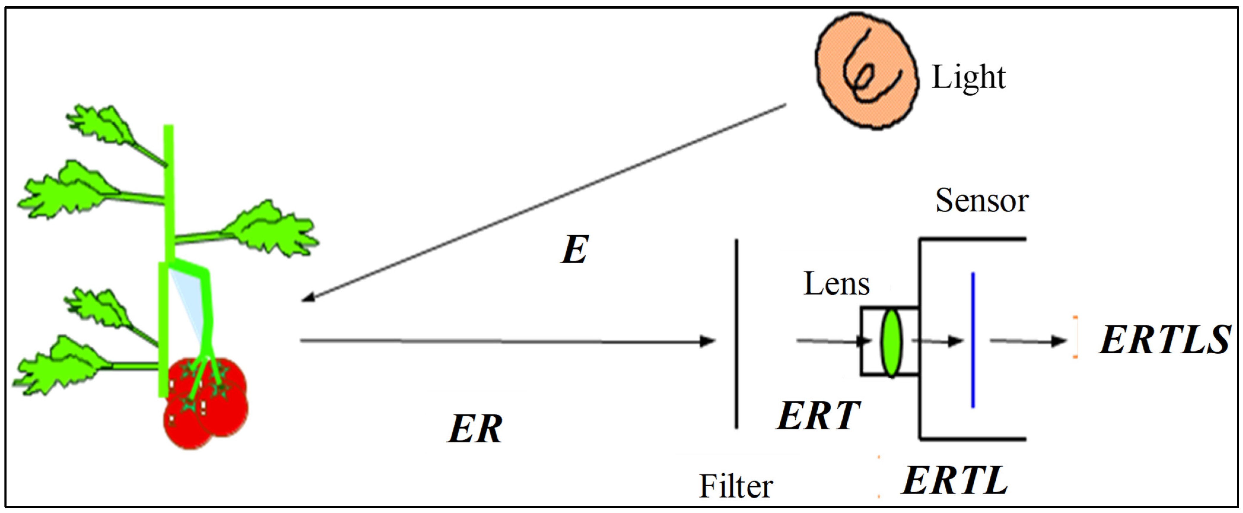 Agriculture 13 01433 g003 Agriculture 13 01433 g003