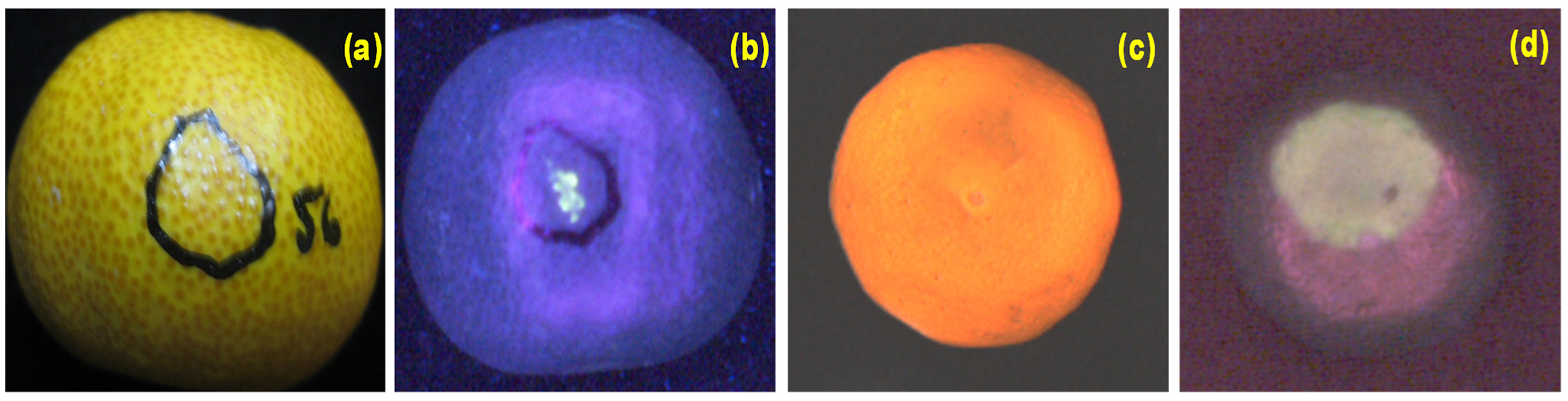 Agriculture 13 01433 g006