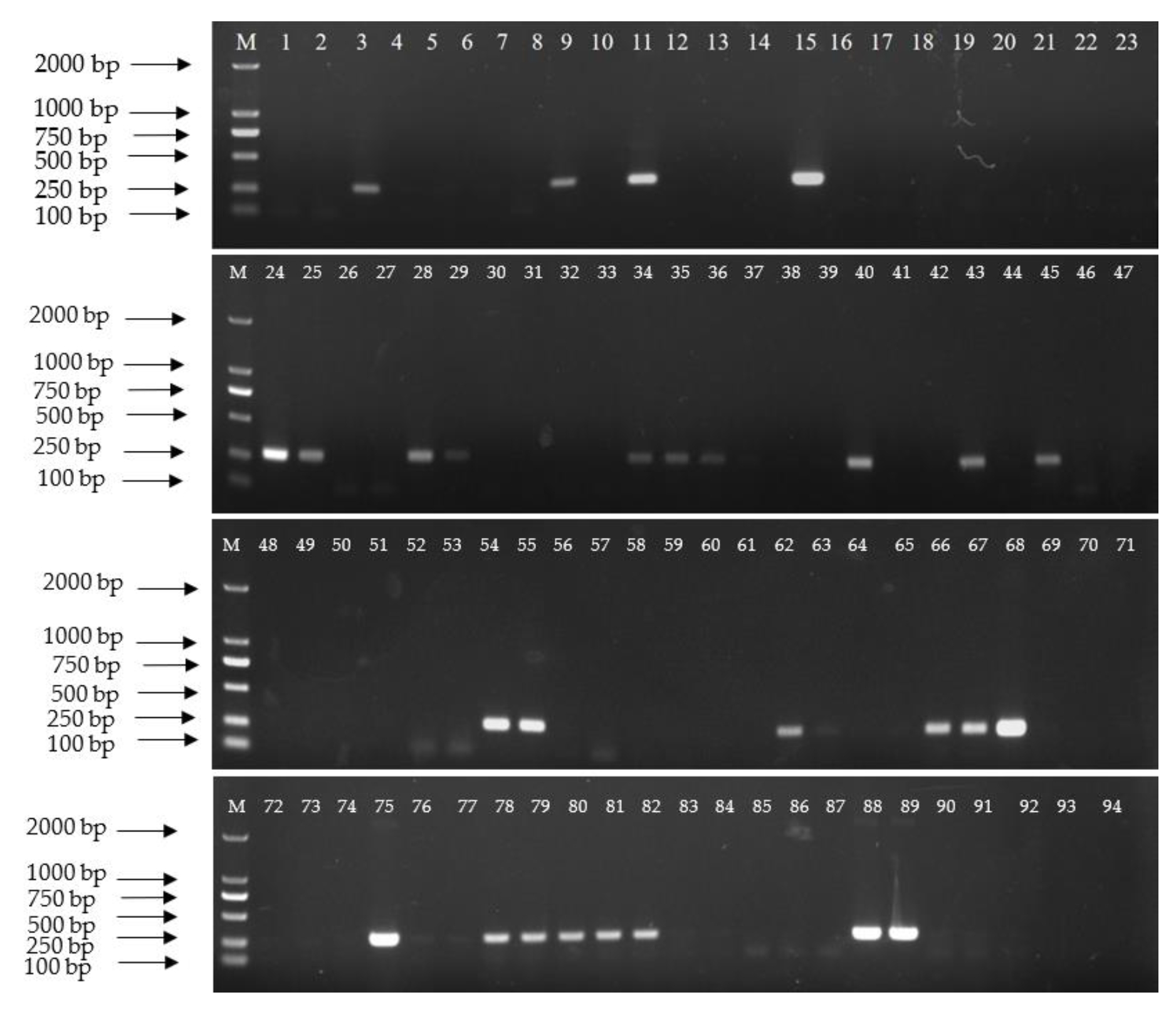 Agriculture 13 01452 g006