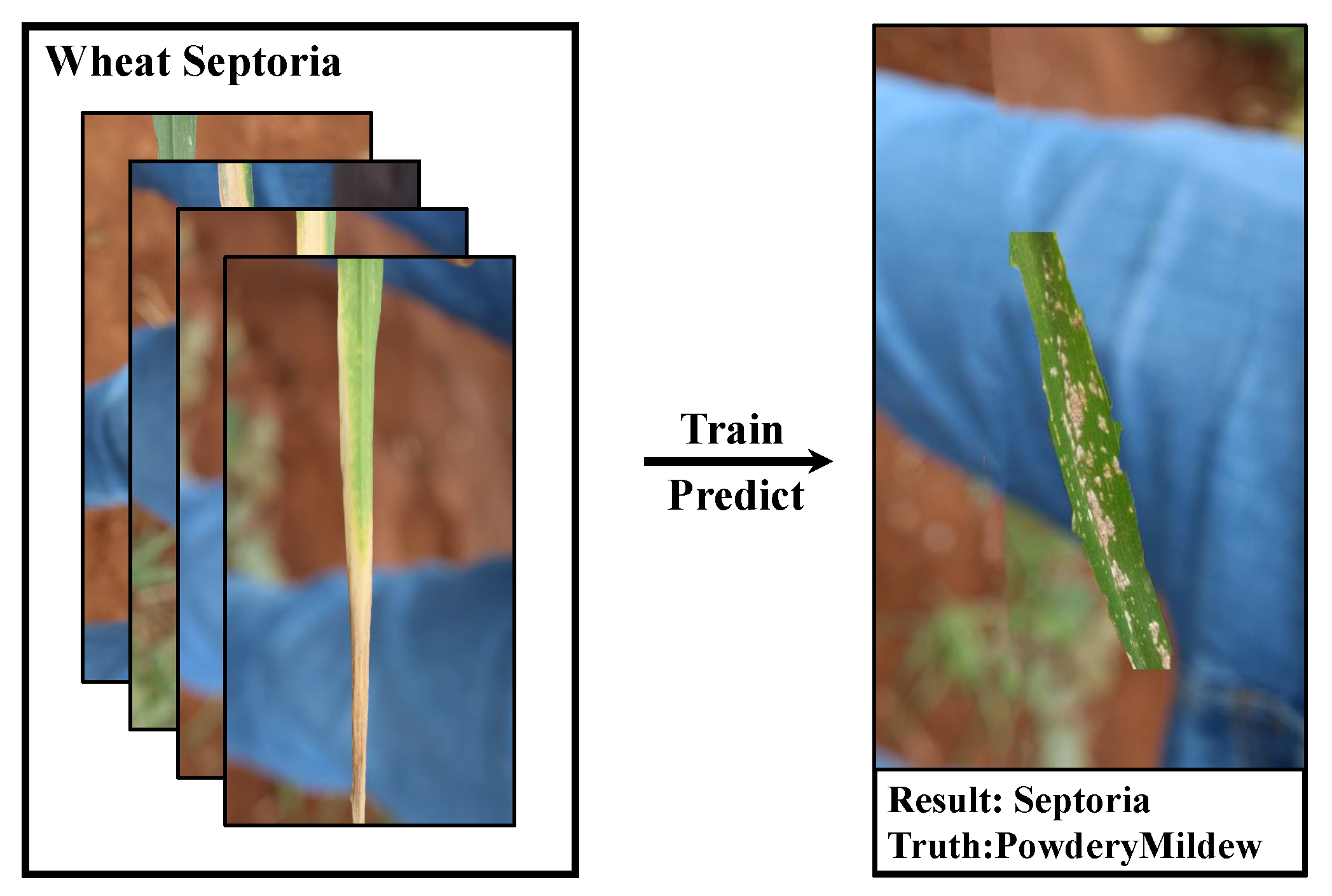 Agriculture 13 01461 g002 Agriculture 13 01461 g002