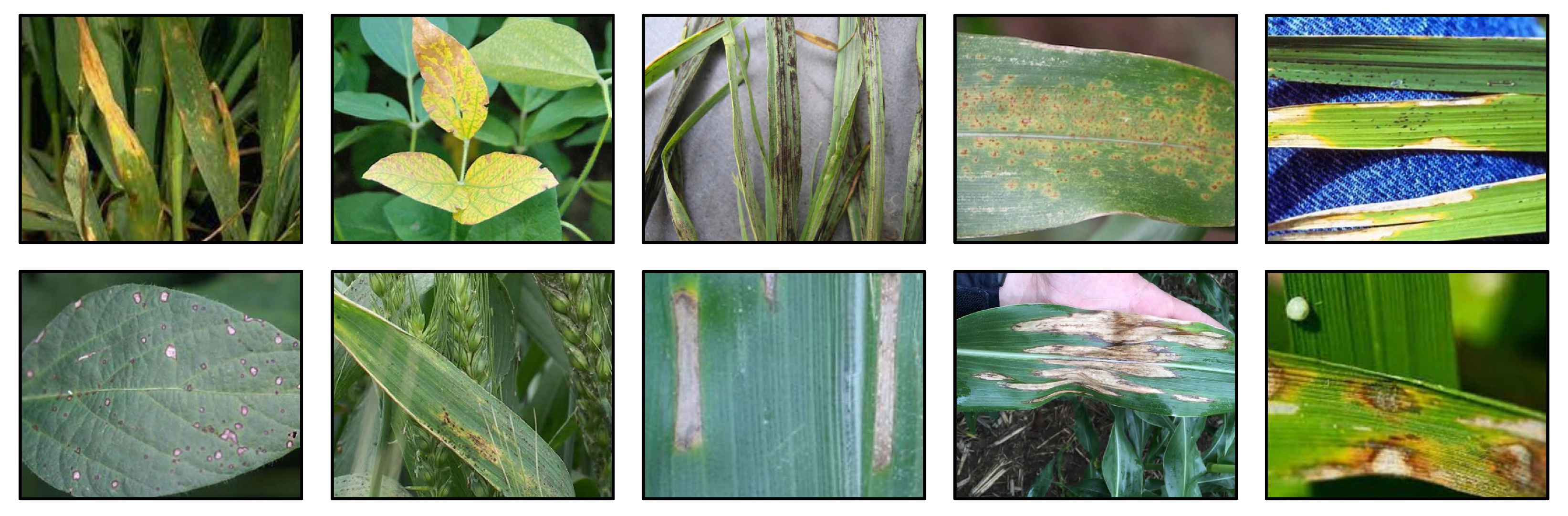 Agriculture 13 01461 g003 Agriculture 13 01461 g003