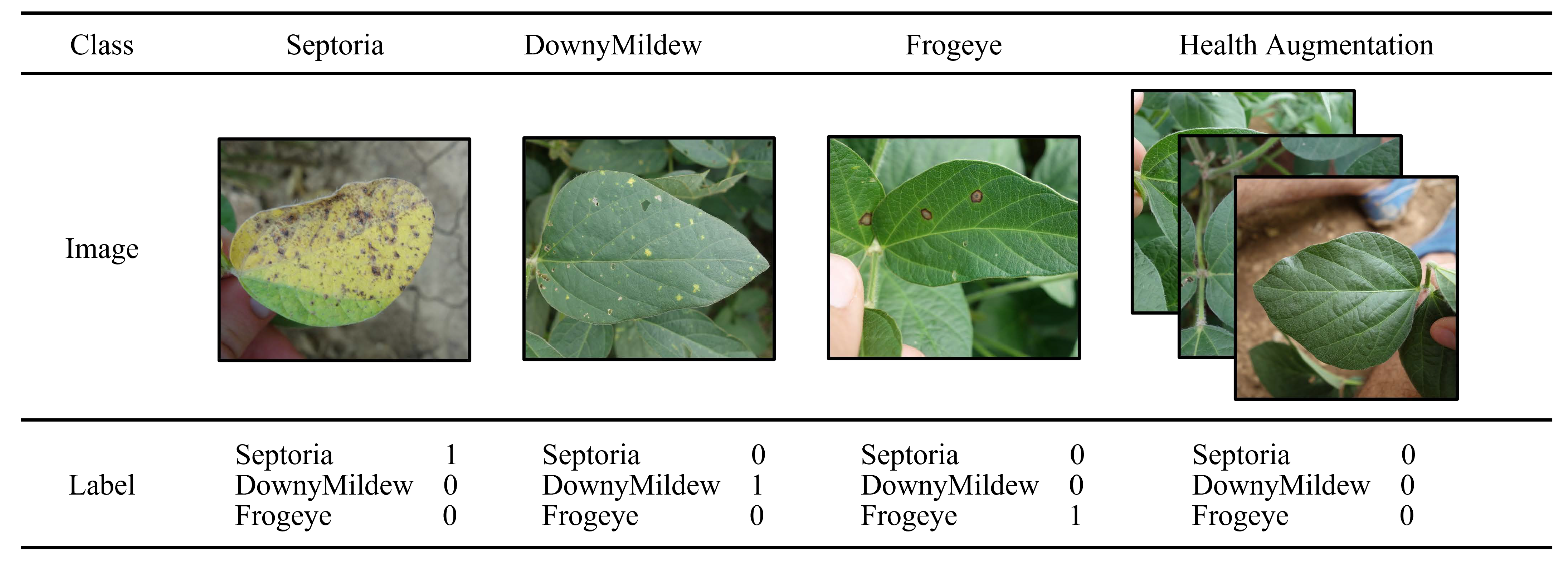 Agriculture 13 01461 g004 Agriculture 13 01461 g004