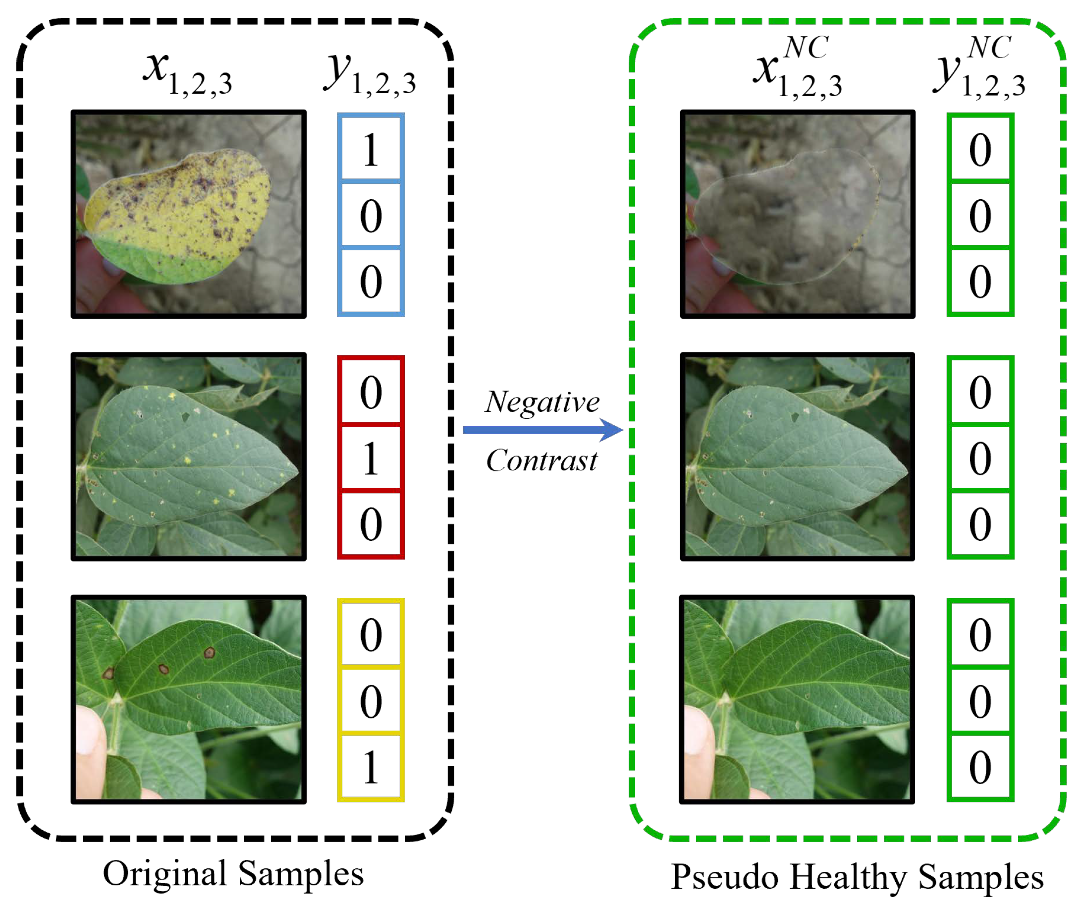 Agriculture 13 01461 g006 Agriculture 13 01461 g006
