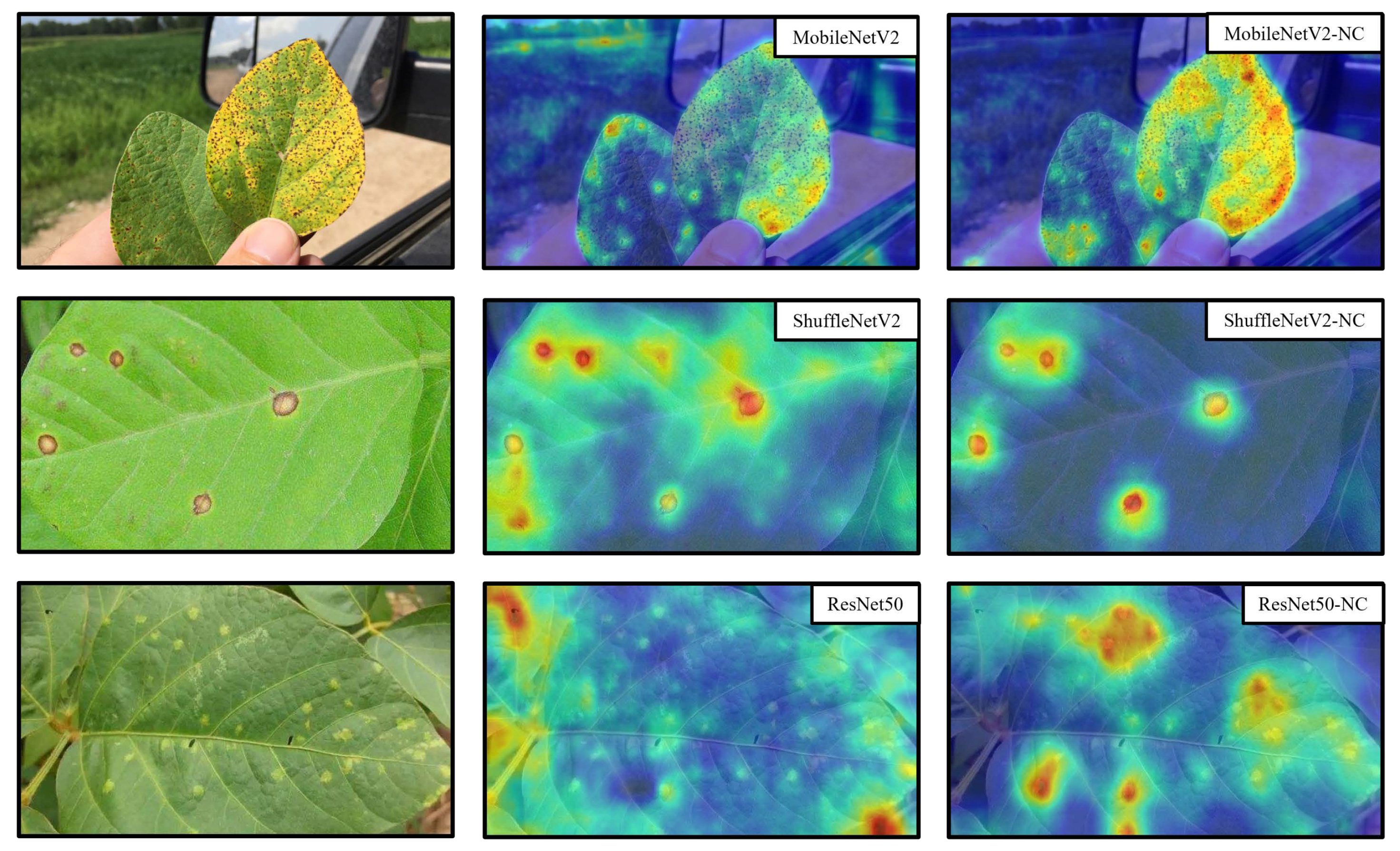 Agriculture 13 01461 g009 Agriculture 13 01461 g009