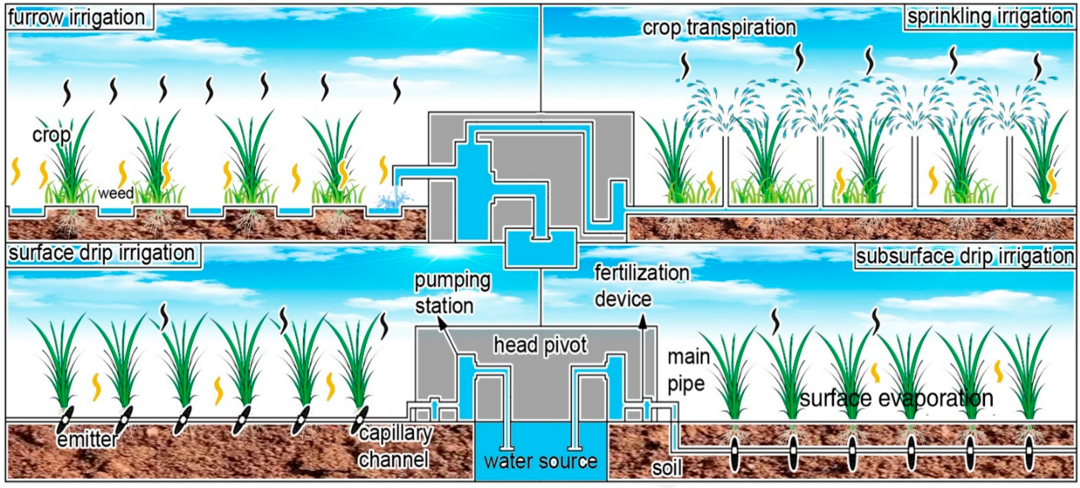 Agriculture 13 01463 g001 Agriculture 13 01463 g001