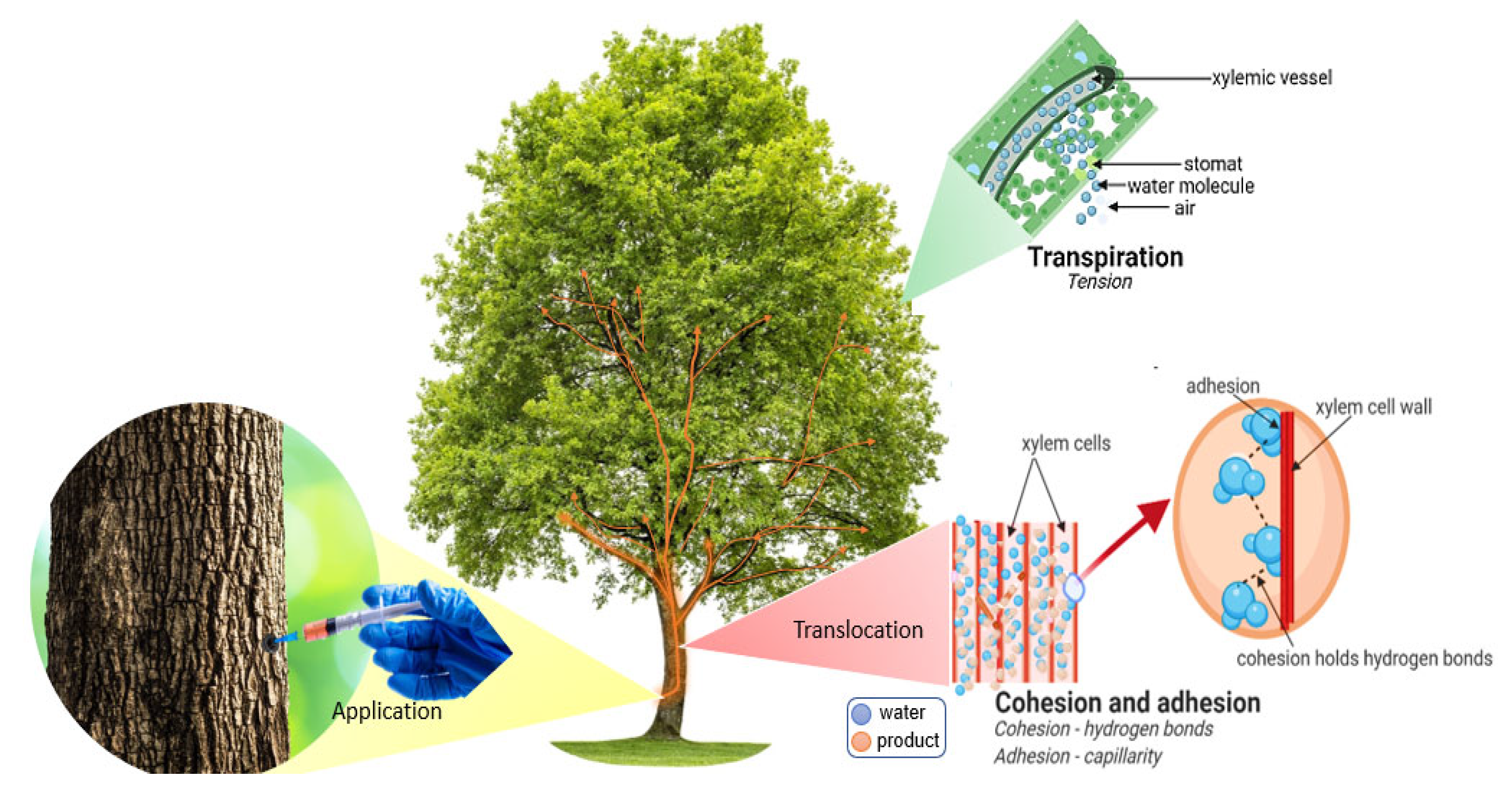 Agriculture 13 01465 g001