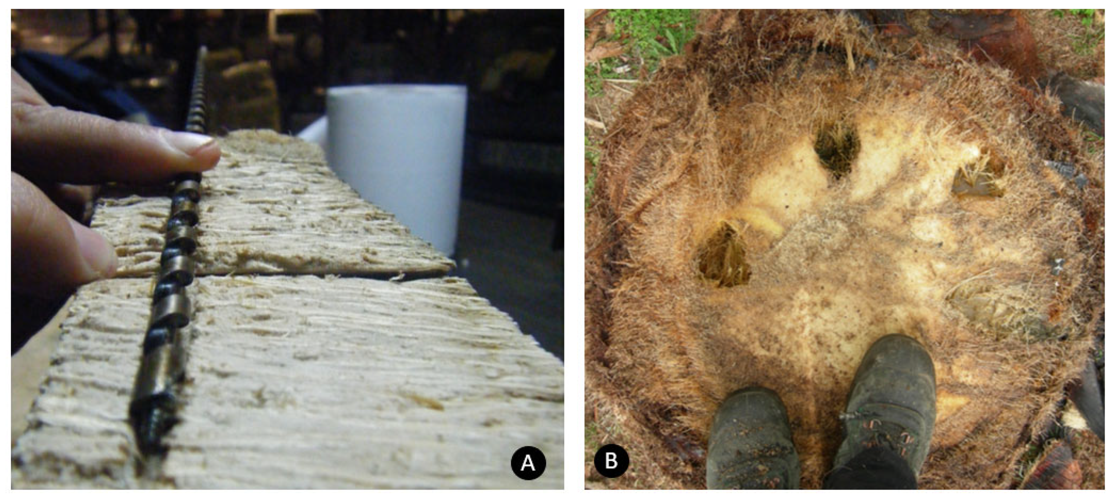 Agriculture 13 01465 g009