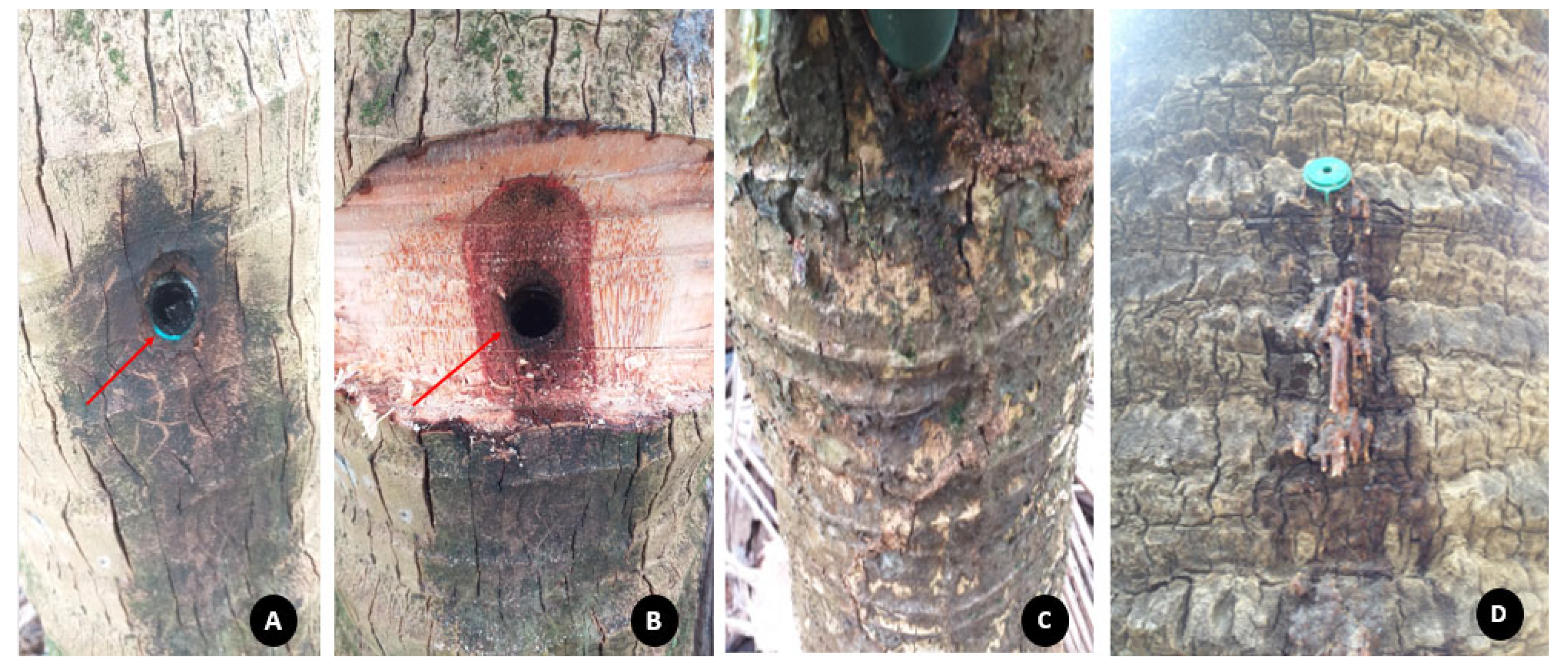 Agriculture 13 01465 g011