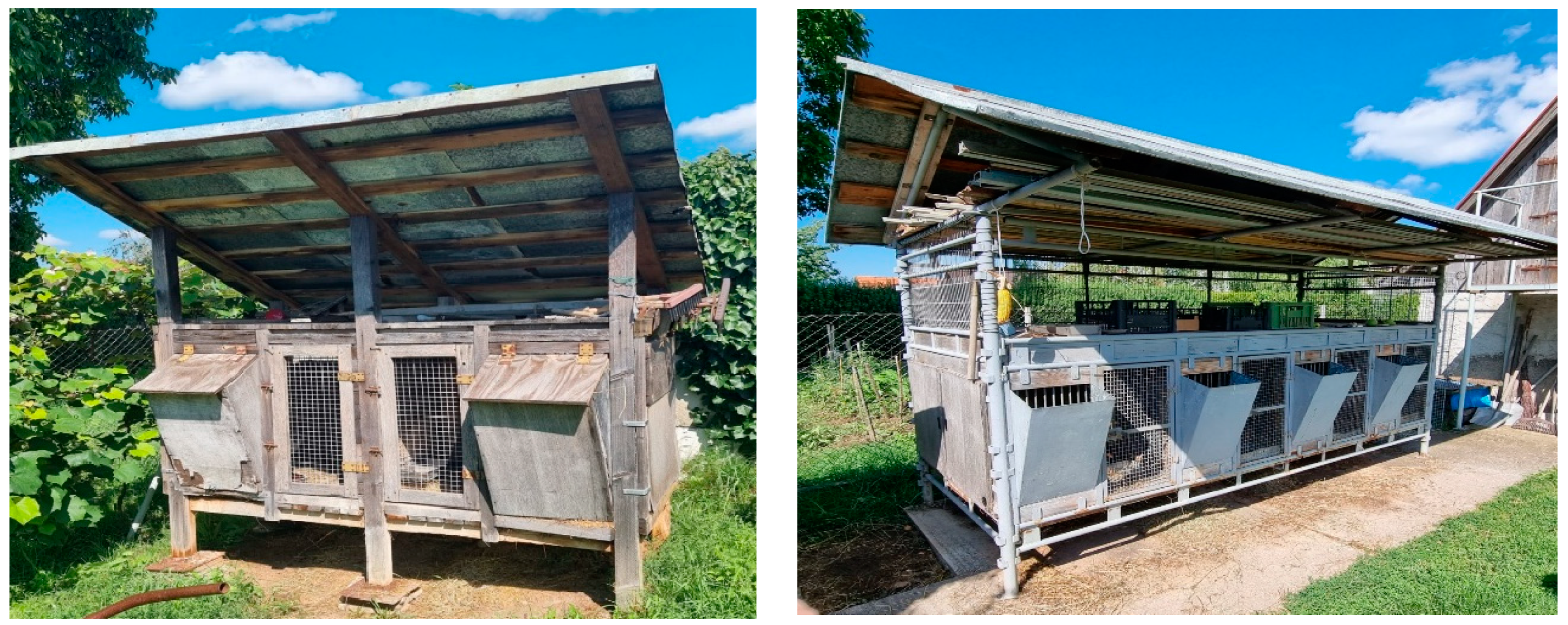 Agriculture 13 01468 g005