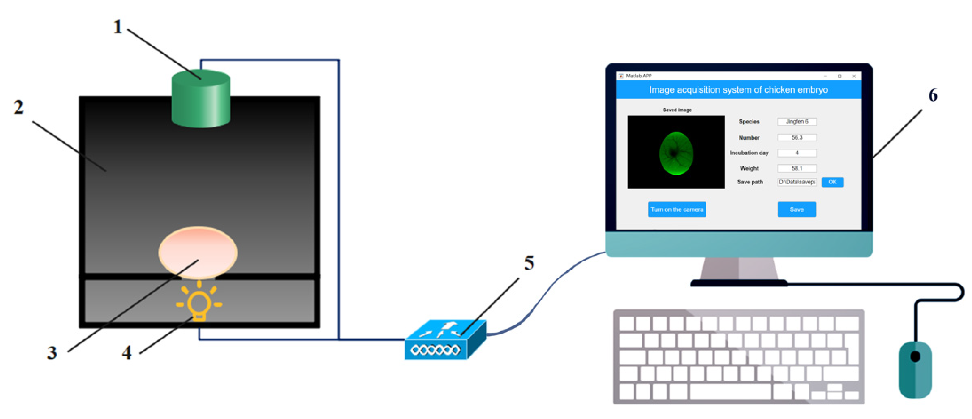Agriculture 13 01480 g001