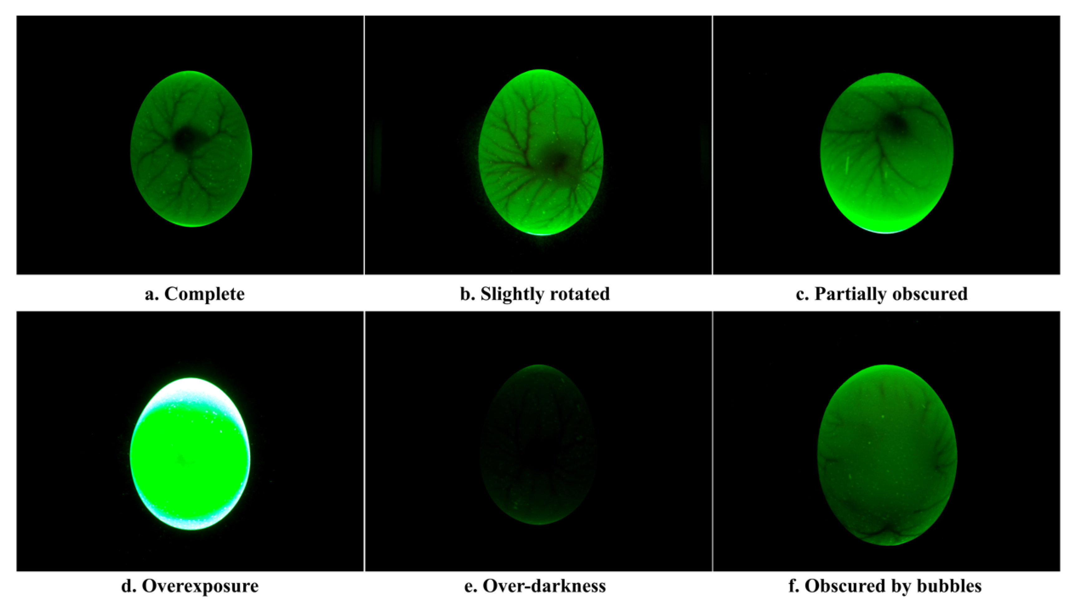 Agriculture 13 01480 g004