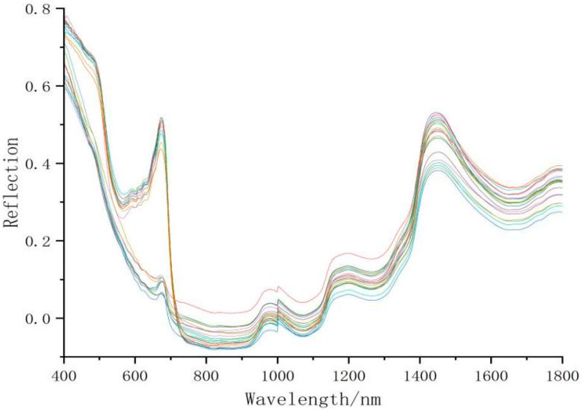 Agriculture 13 01491 g001 550
