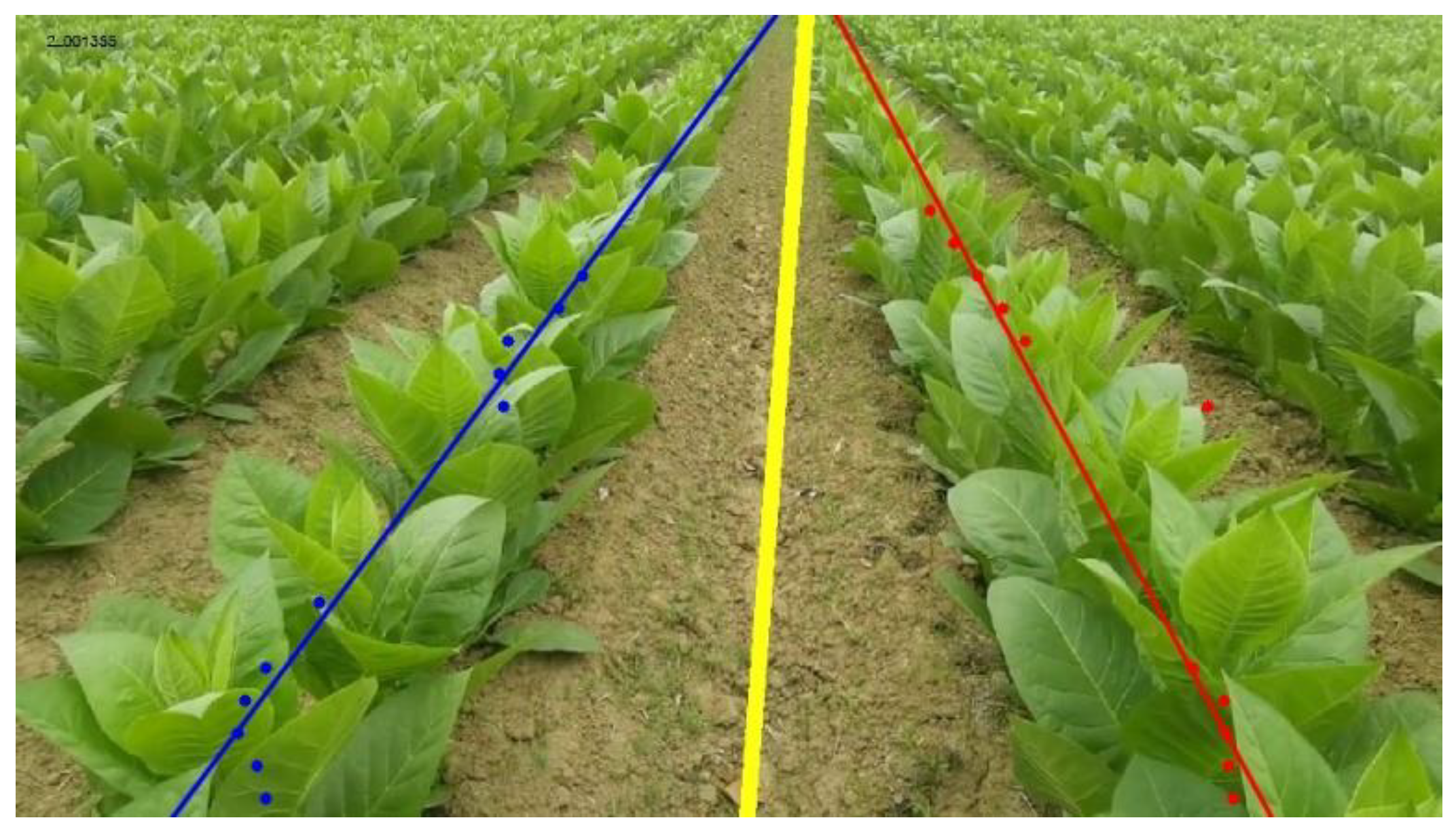 Agriculture 13 01496 g007 Agriculture 13 01496 g007