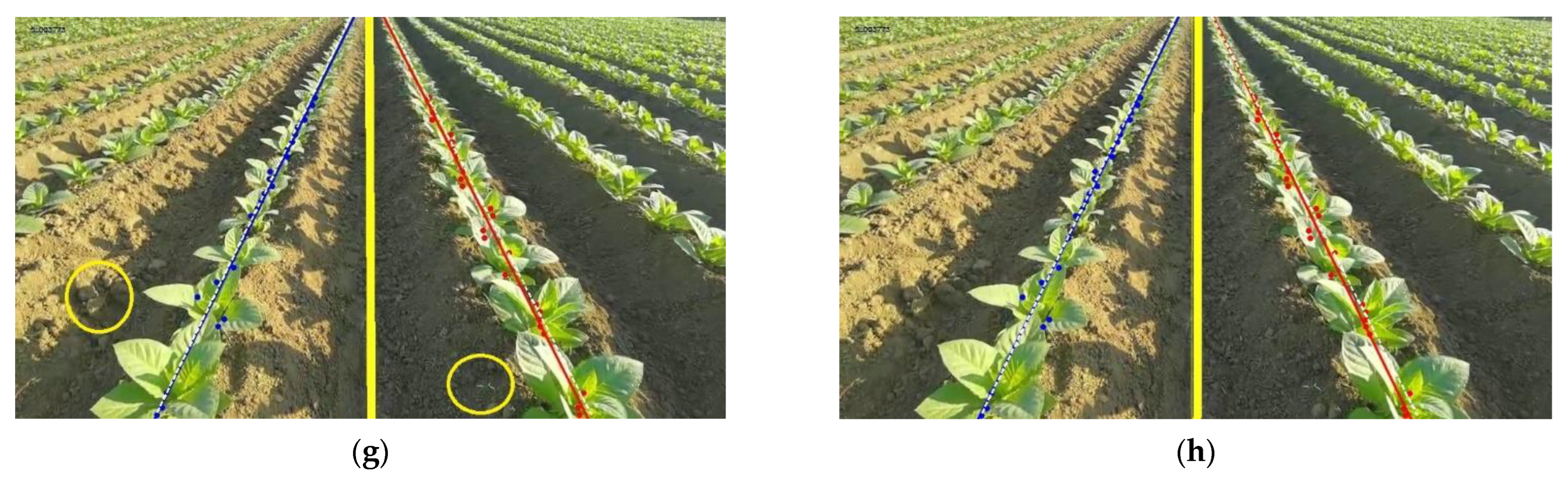 Agriculture 13 01496 g011b Agriculture 13 01496 g011b