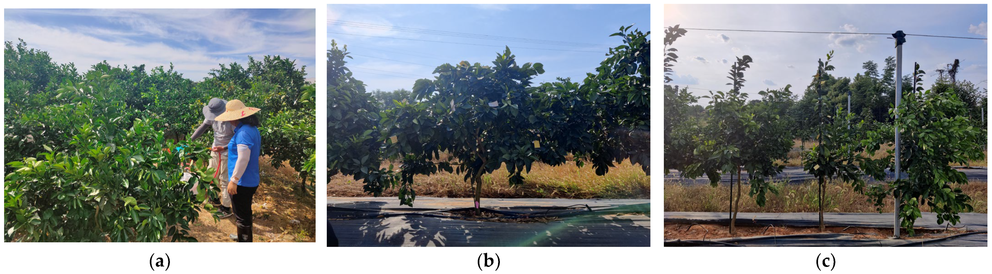 Agriculture 13 01498 g005