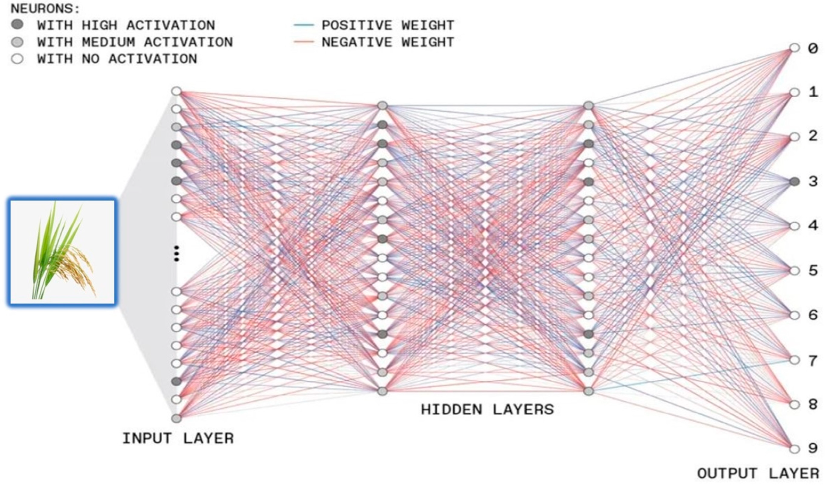 Agriculture 13 01505 g003 Agriculture 13 01505 g003