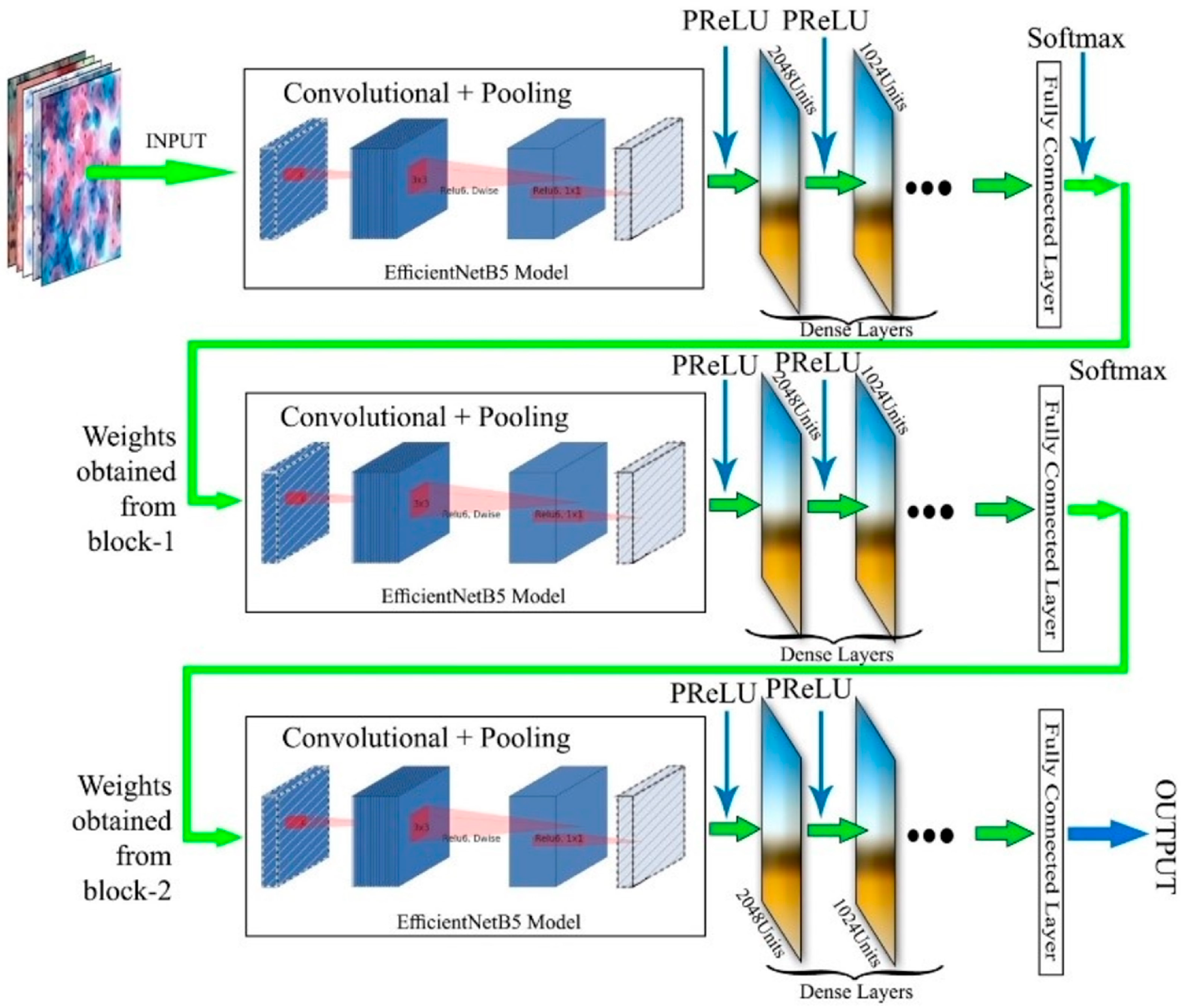 Agriculture 13 01505 g005 Agriculture 13 01505 g005
