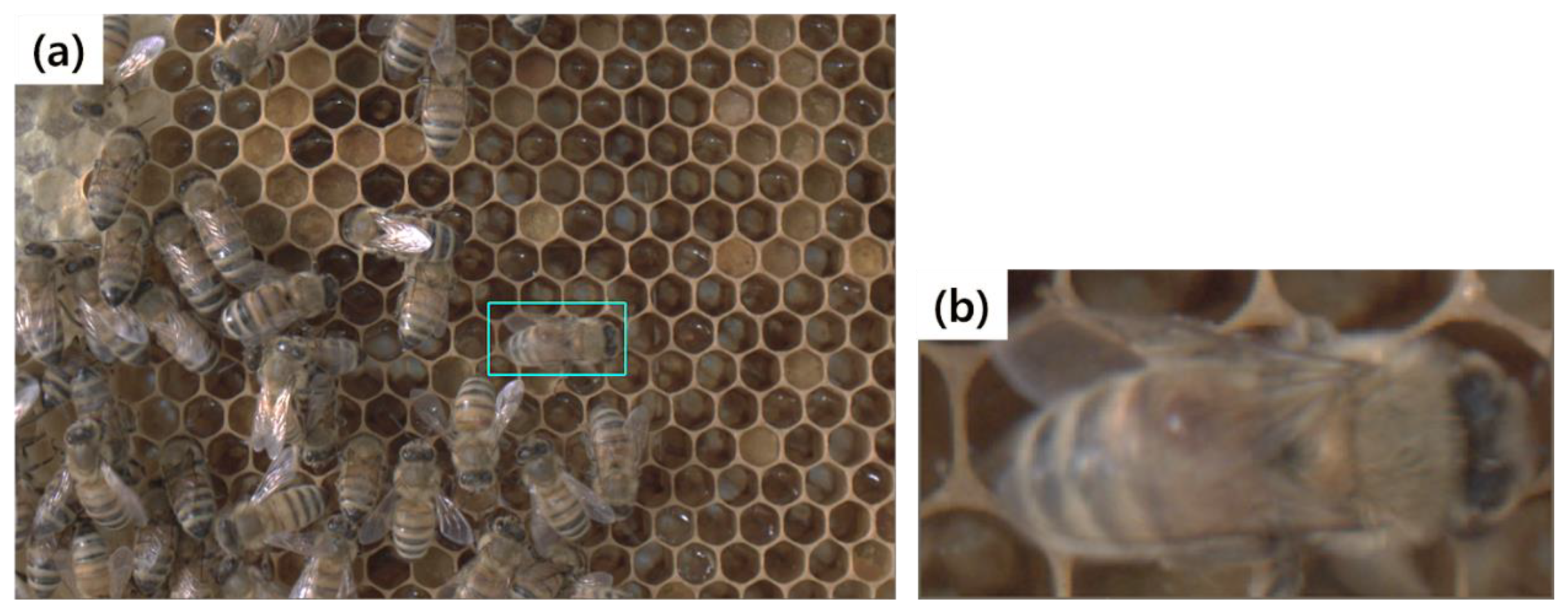 Agriculture 13 01511 g002