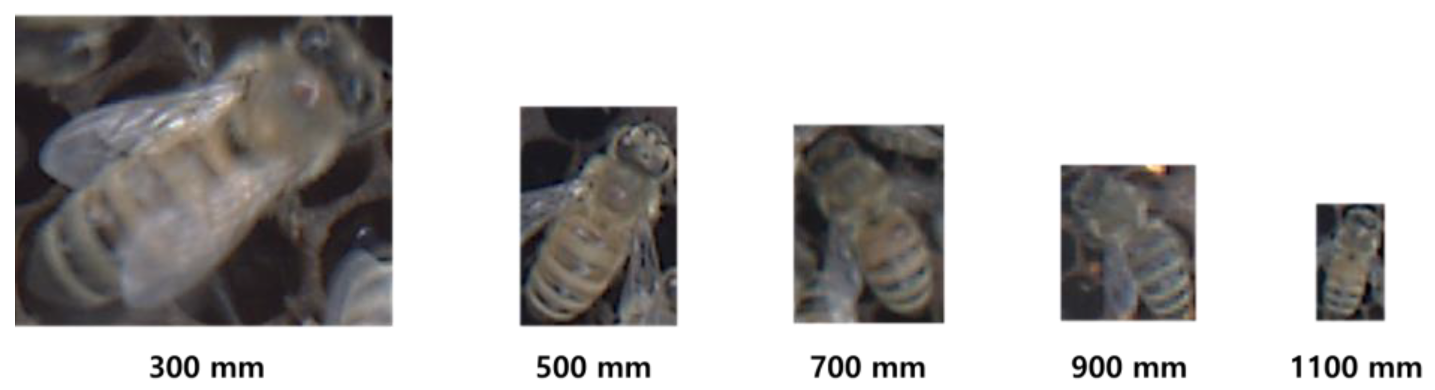 Agriculture 13 01511 g003