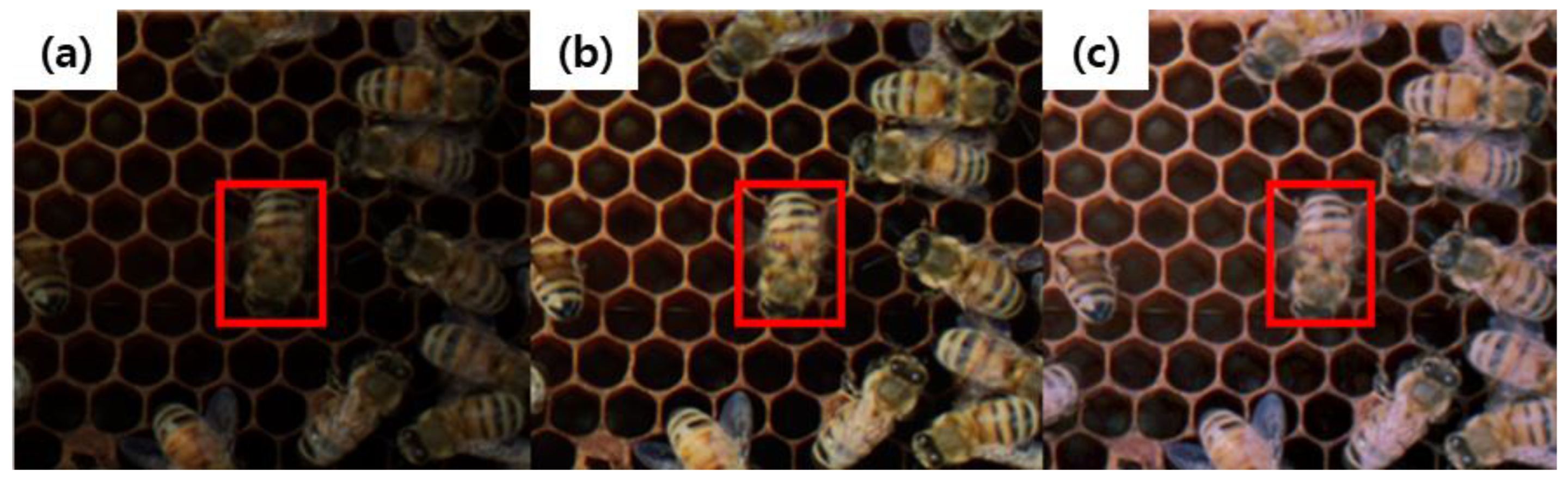 Agriculture 13 01511 g008