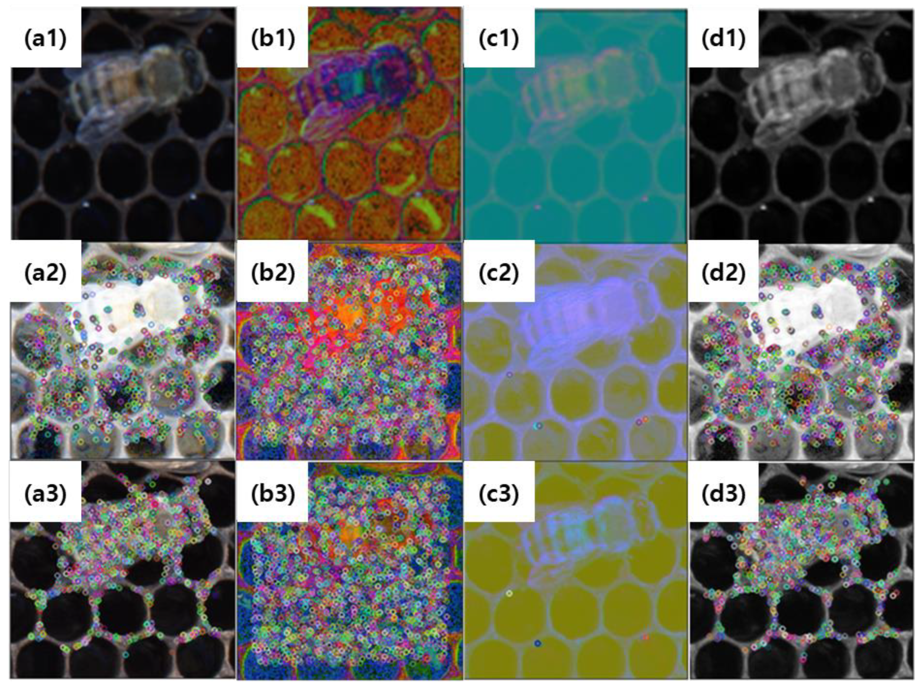 Agriculture 13 01511 g010