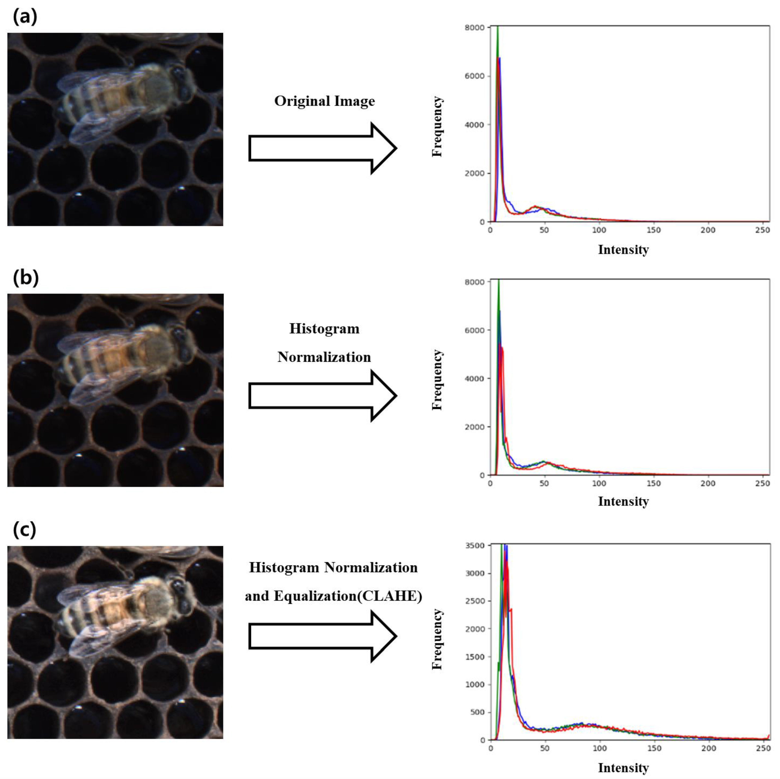 Agriculture 13 01511 g011