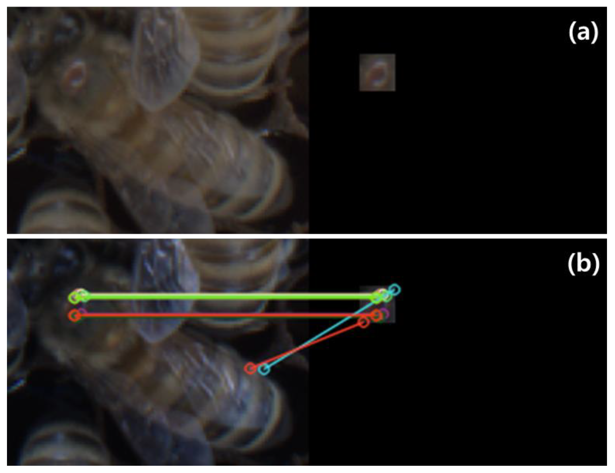 Agriculture 13 01511 g013