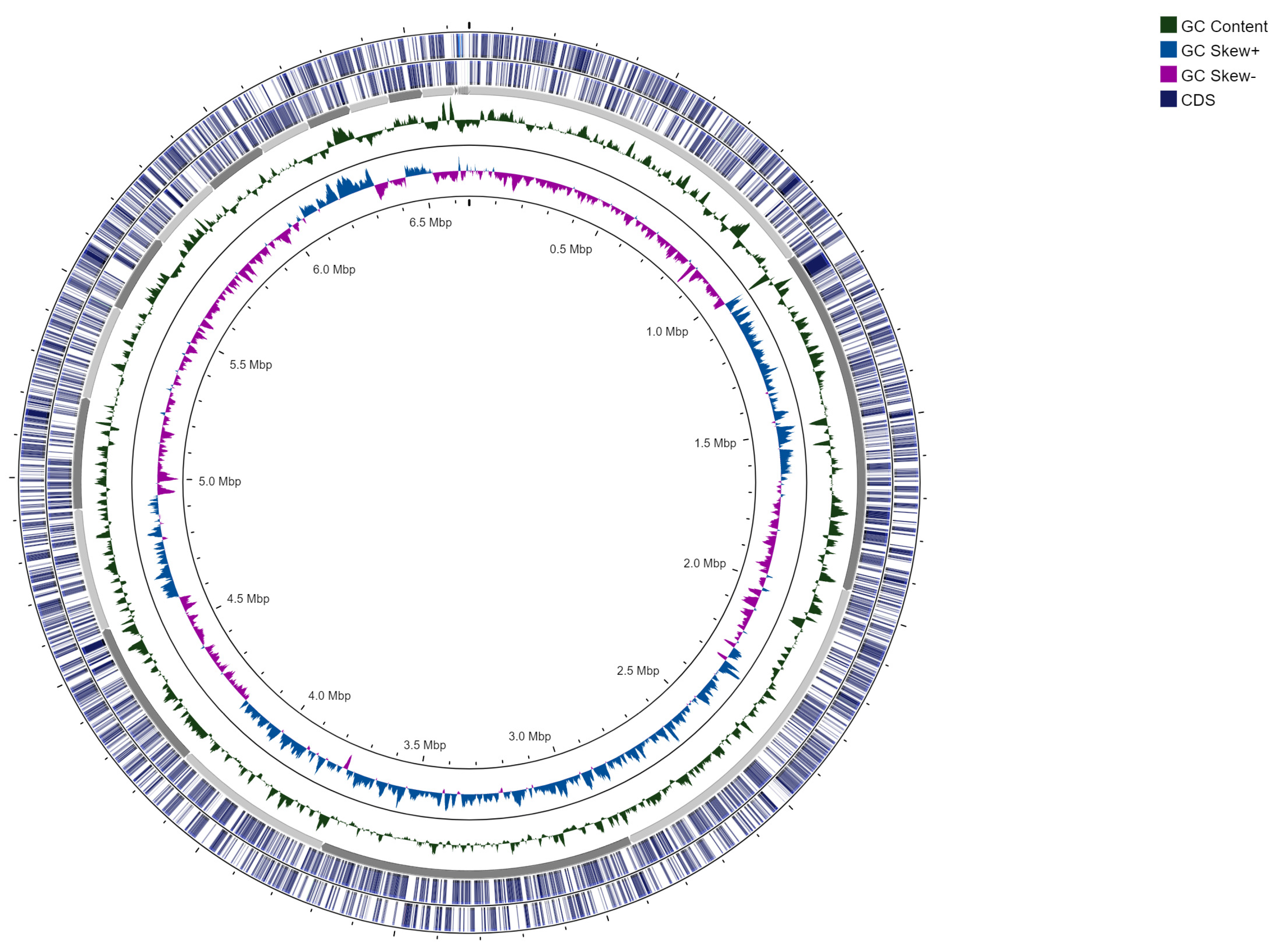 Sequencing of the Whole Genome of a Bacterium of the Genus 