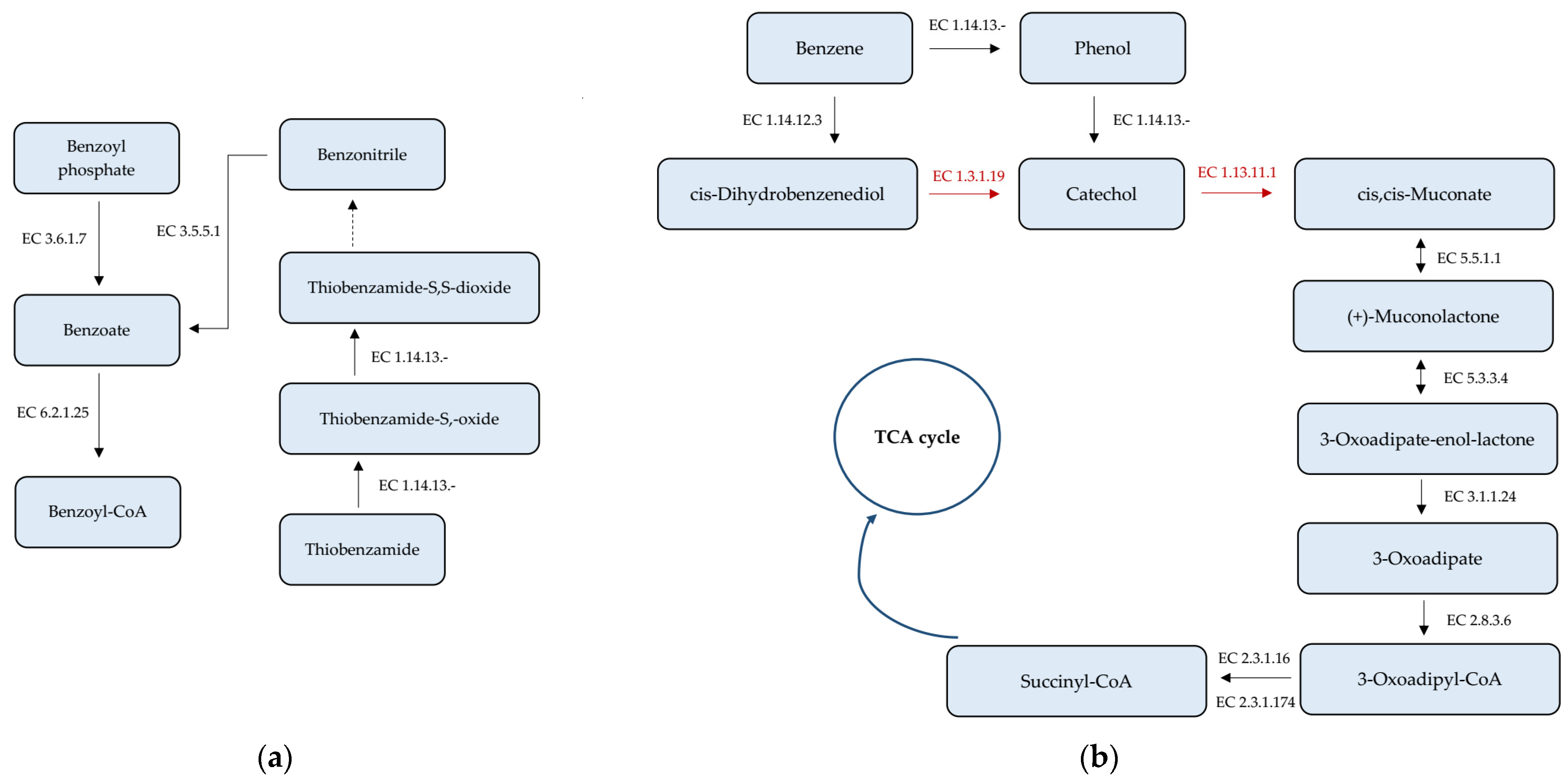 Agriculture 13 01519 g004a