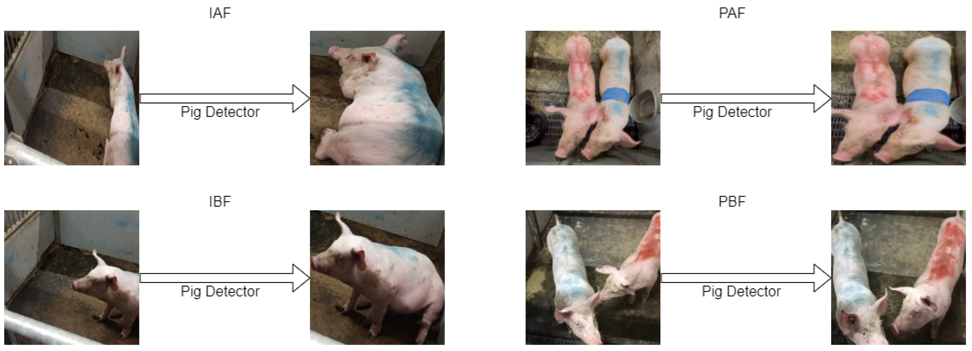 Agriculture 13 01522 g007