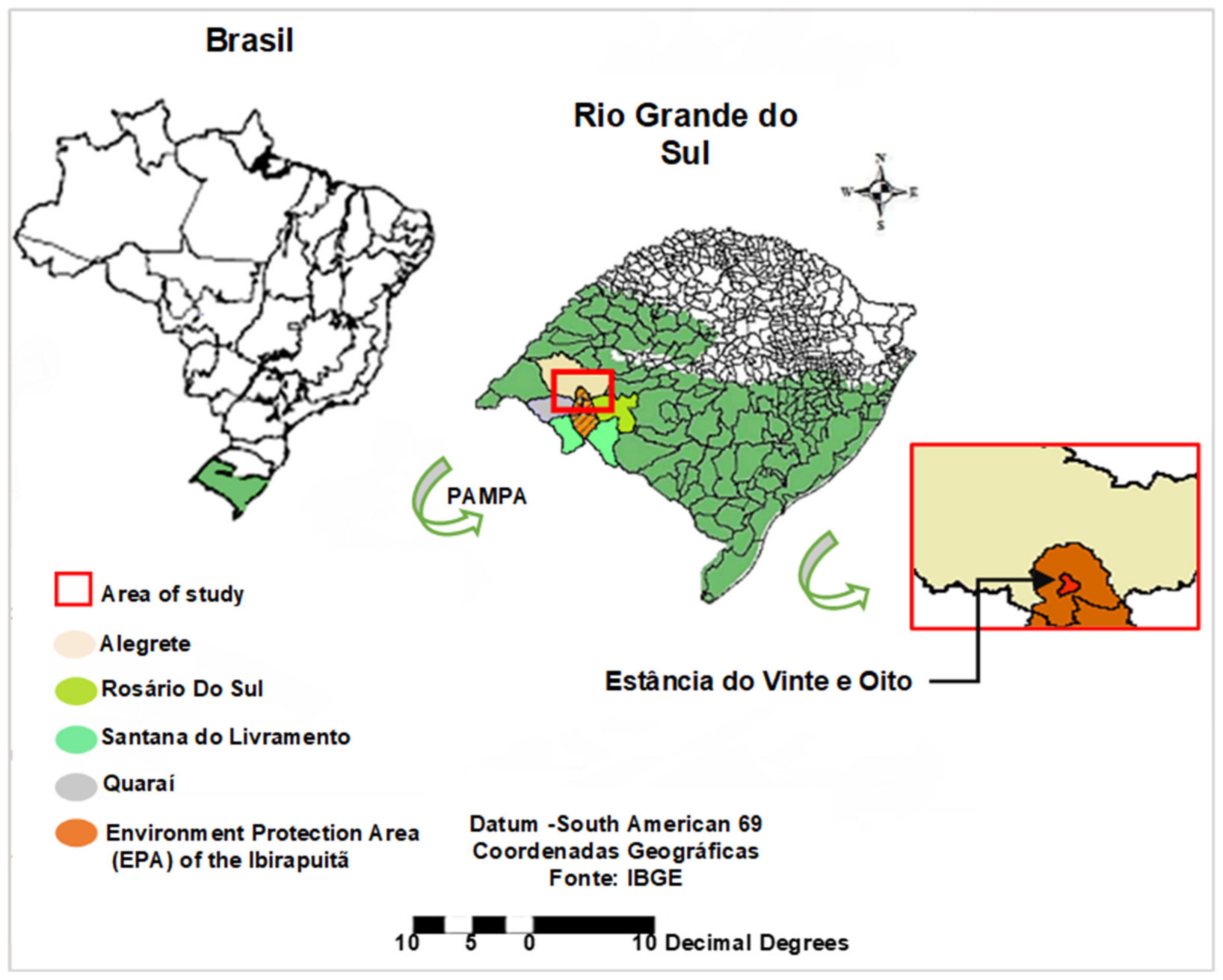 Dados da pecuária de corte: Brasil, China e EUA, de 2017 a 2021