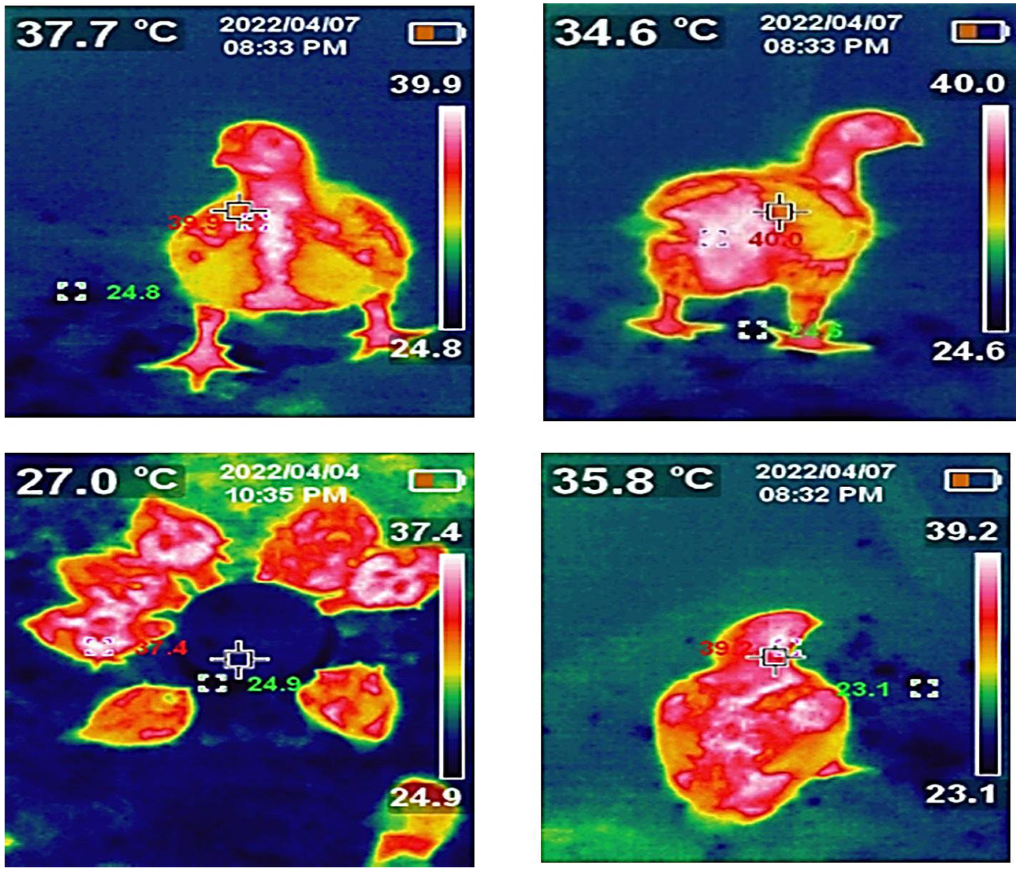 Agriculture 13 01527 g001 Agriculture 13 01527 g001