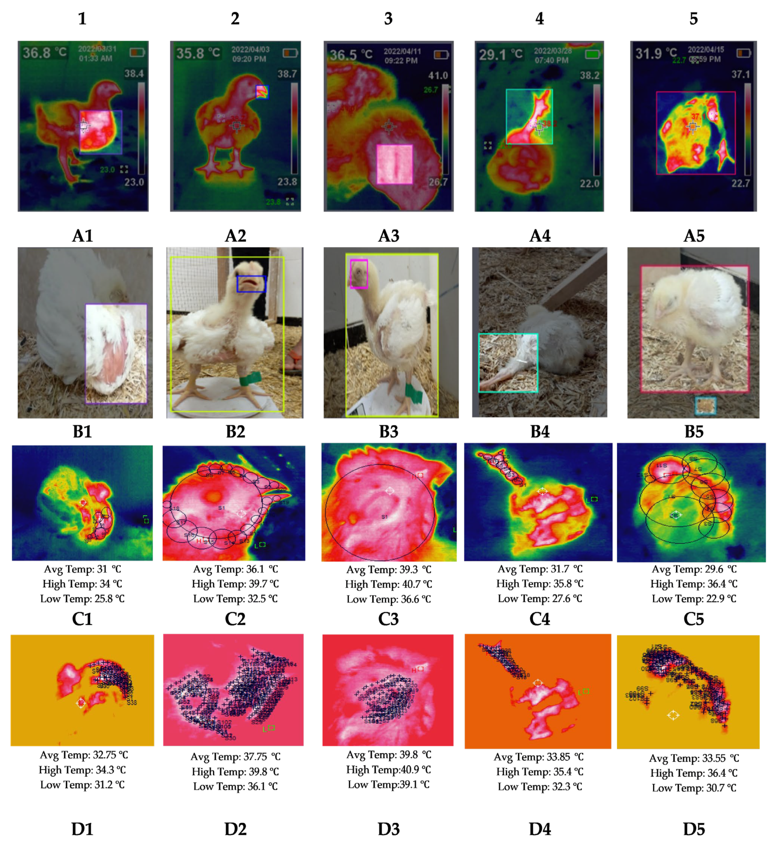 Agriculture 13 01527 g002 Agriculture 13 01527 g002