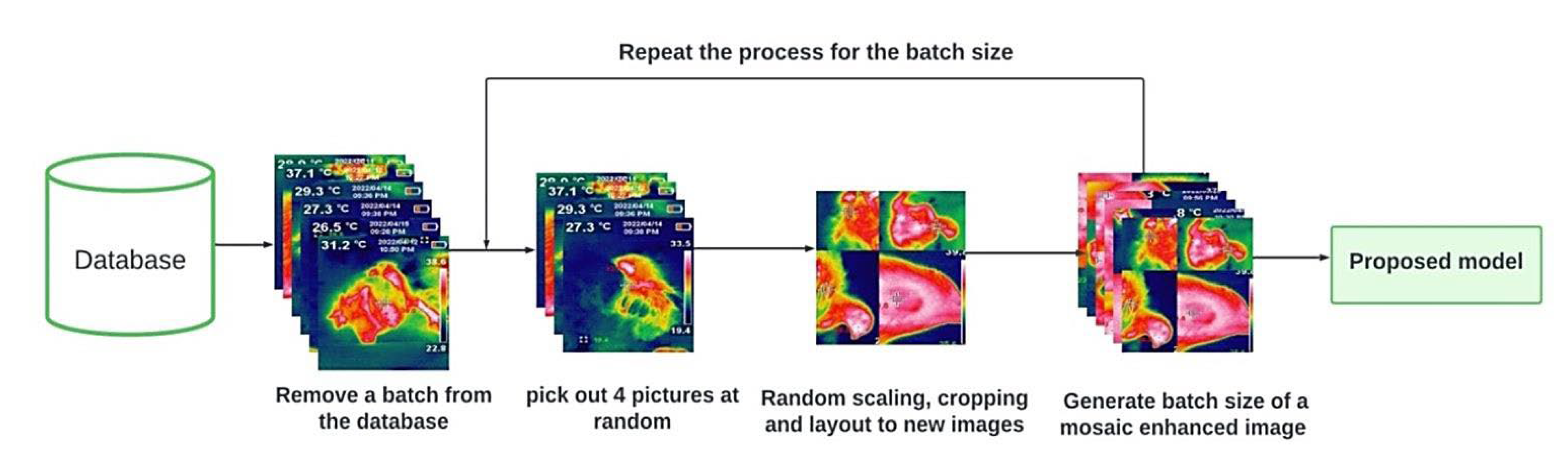 Agriculture 13 01527 g004 Agriculture 13 01527 g004