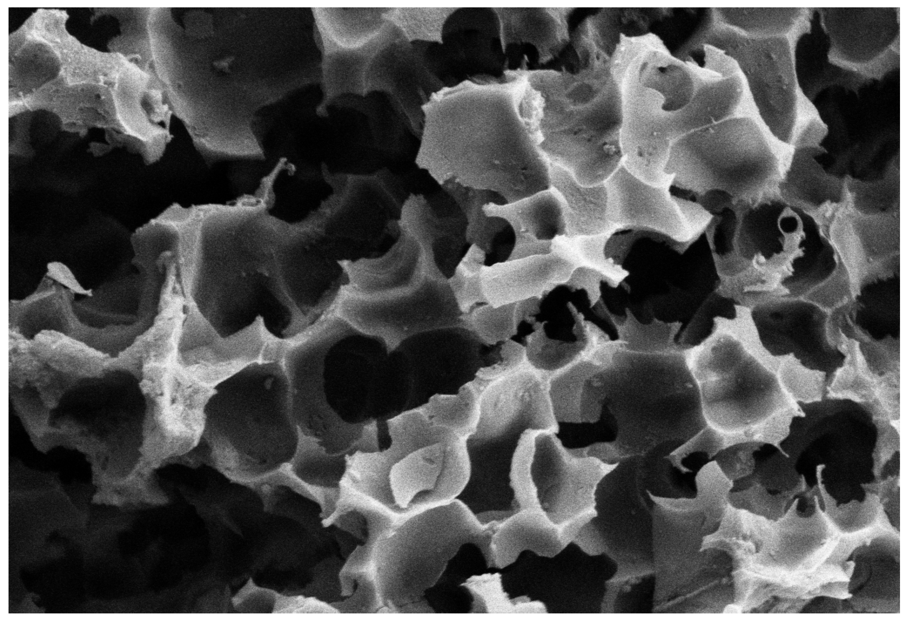 Agriculture 13 01531 g001