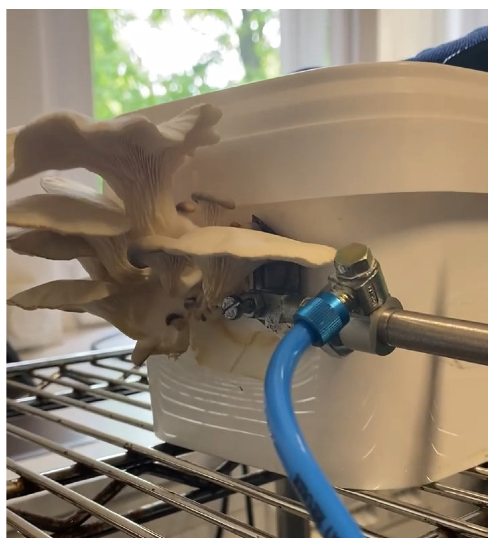 Agriculture 13 01533 g008