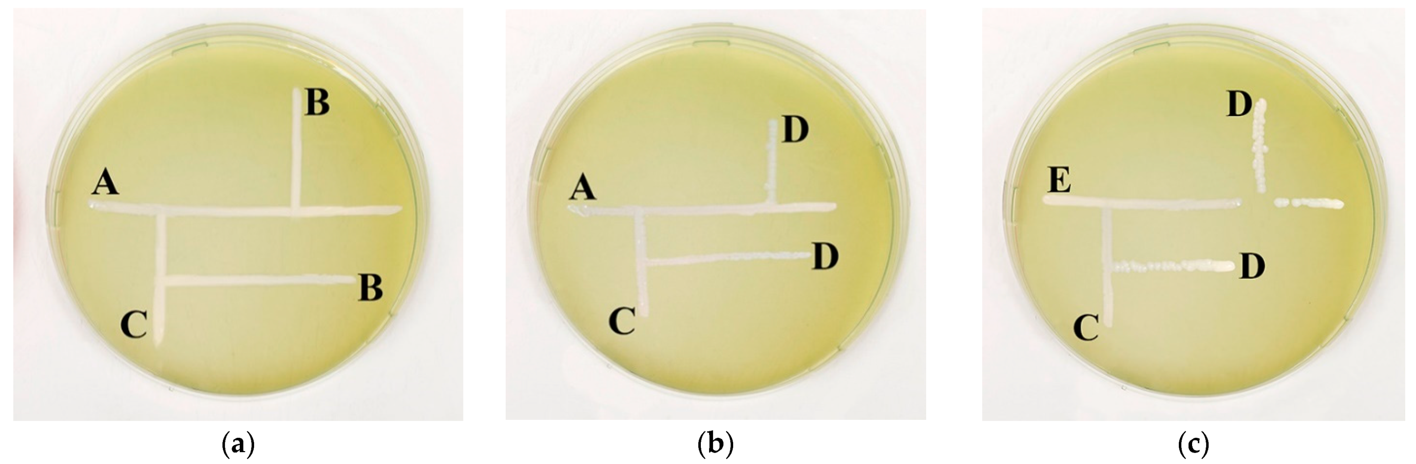 Agriculture 13 01534 g001