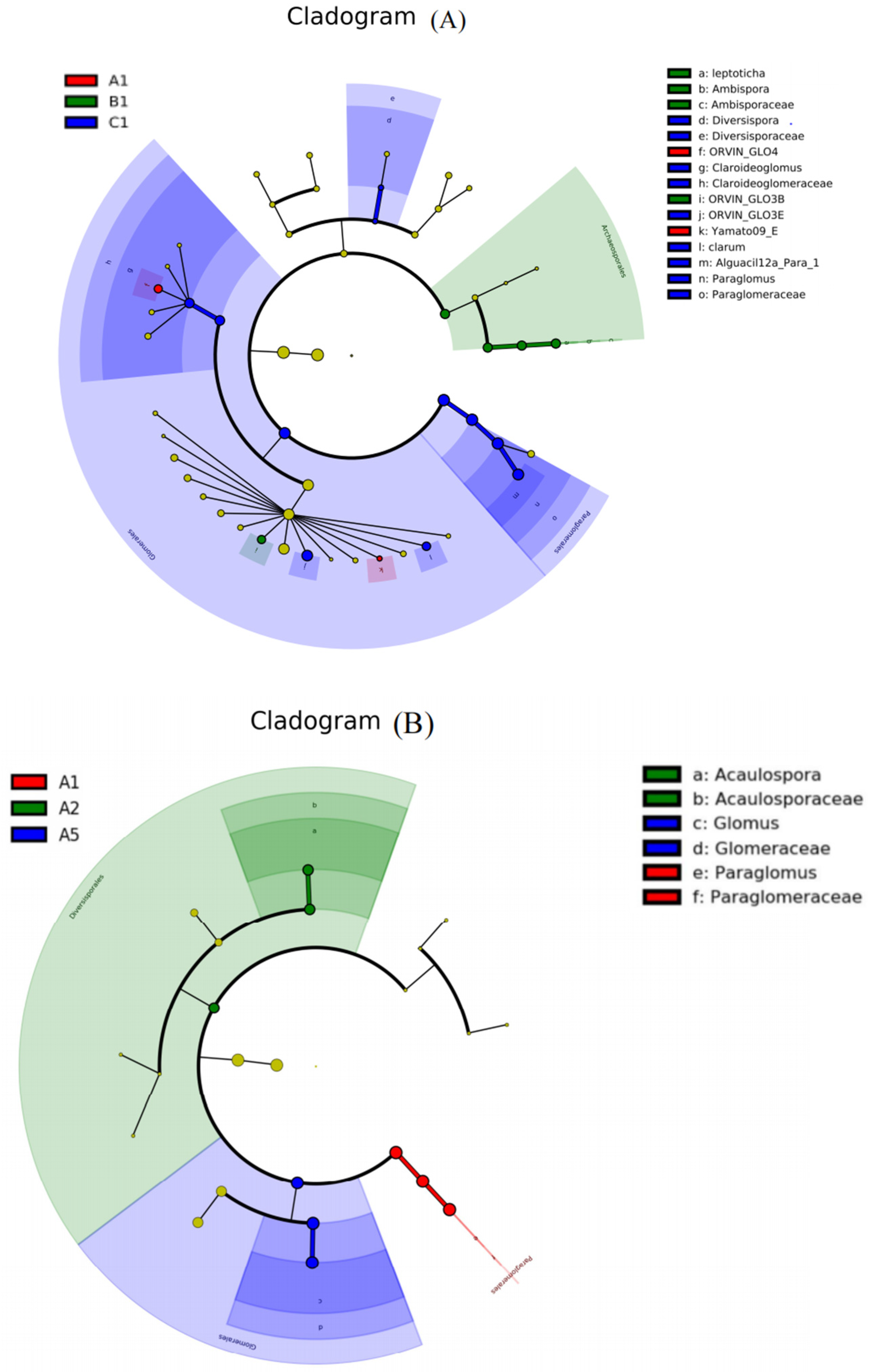 Agriculture 13 01548 g005 Agriculture 13 01548 g005