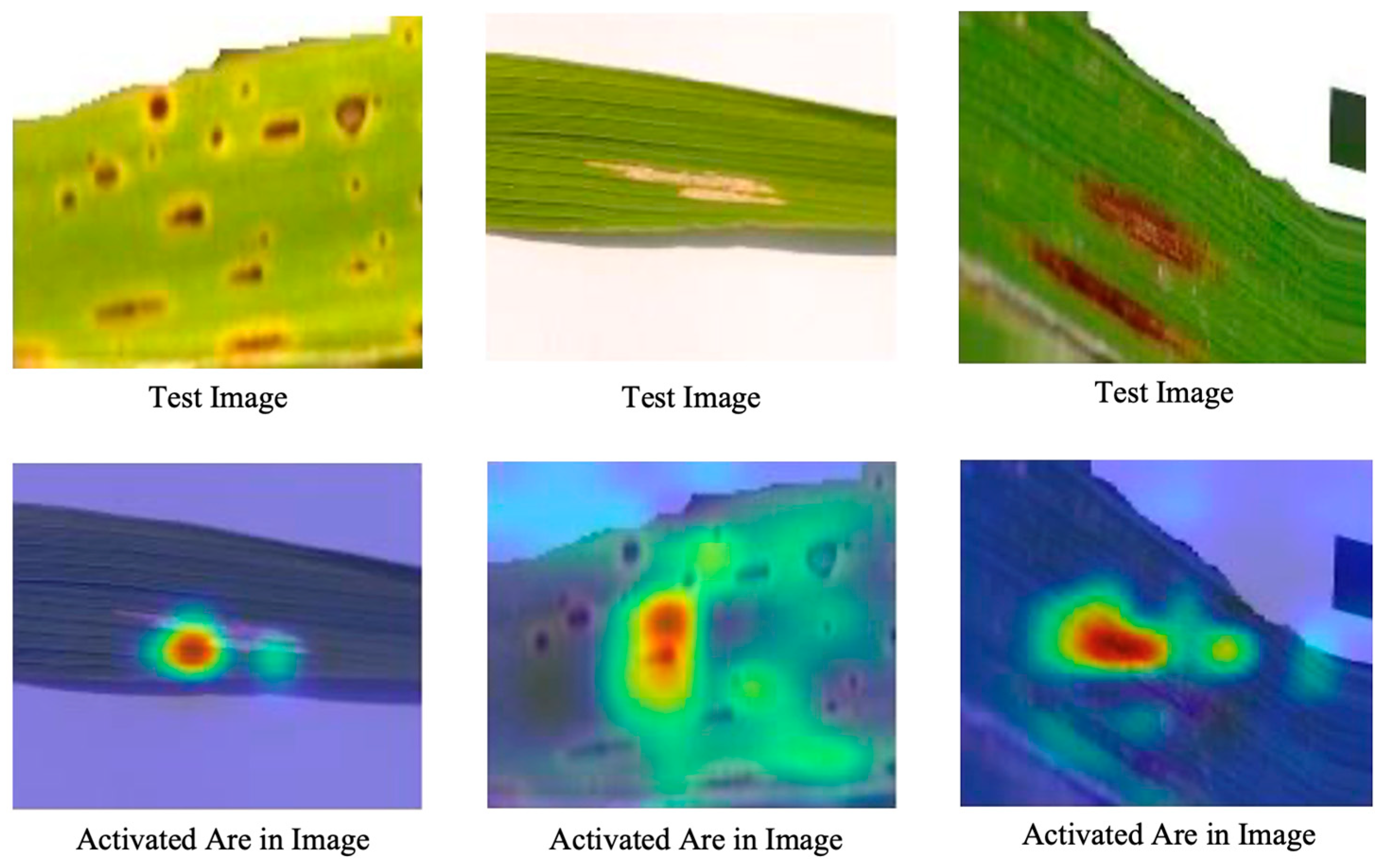 Agriculture 13 01549 g008