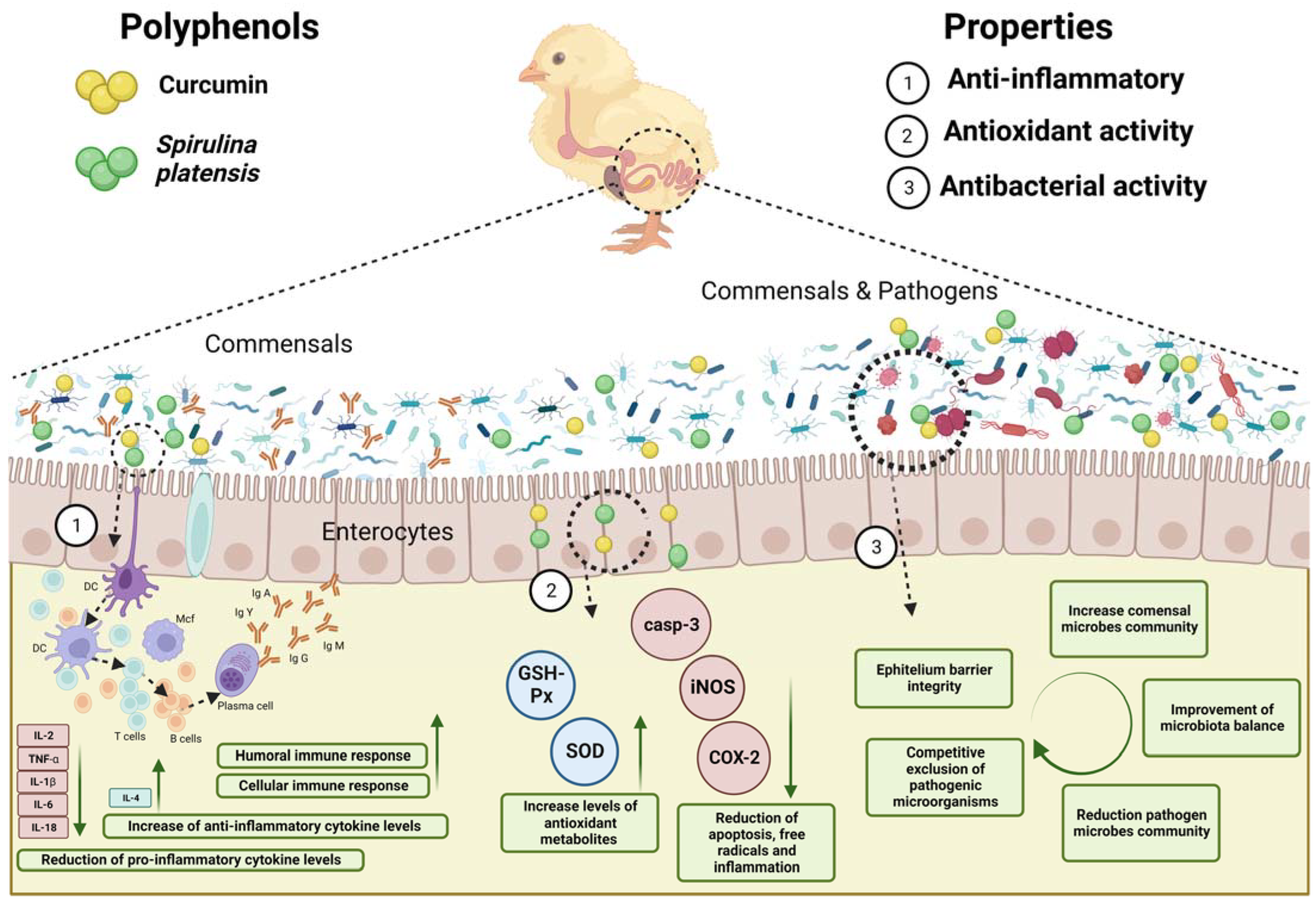 Agriculture 13 01553 g002 Agriculture 13 01553 g002