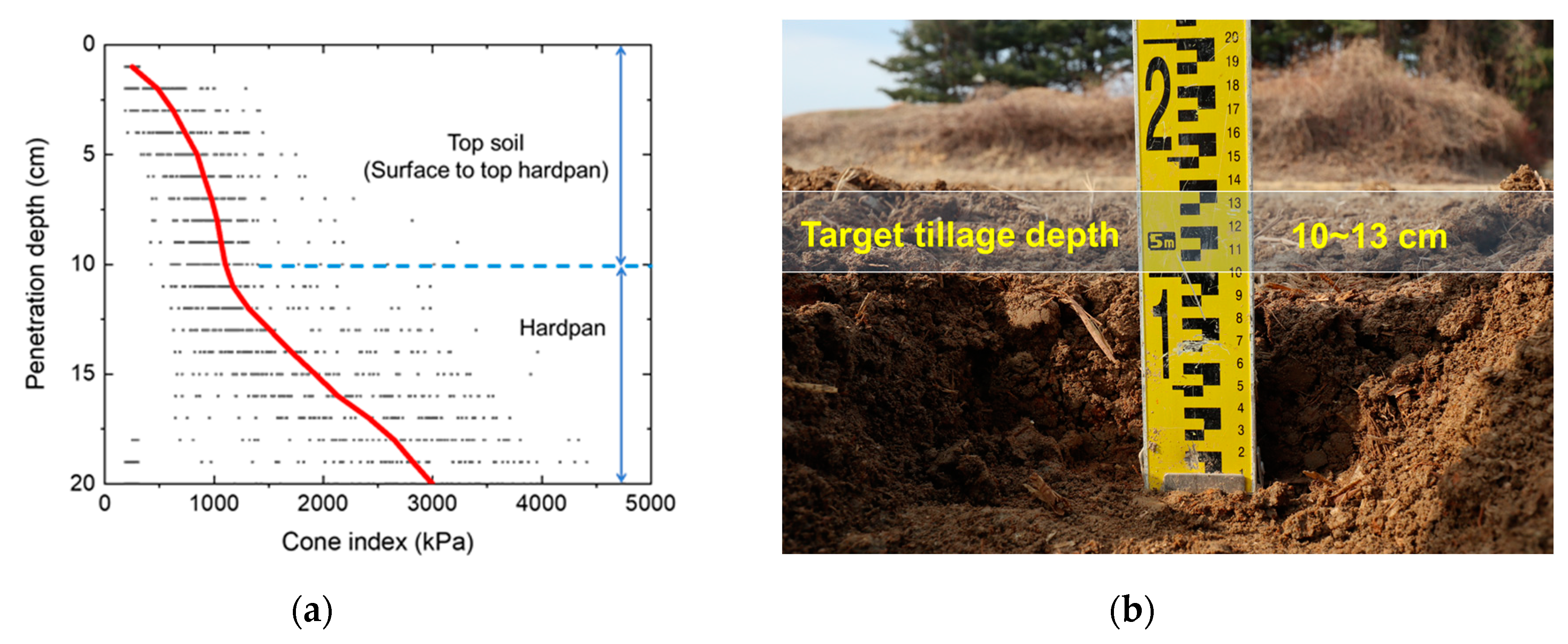 Agriculture 13 01556 g005 Agriculture 13 01556 g005