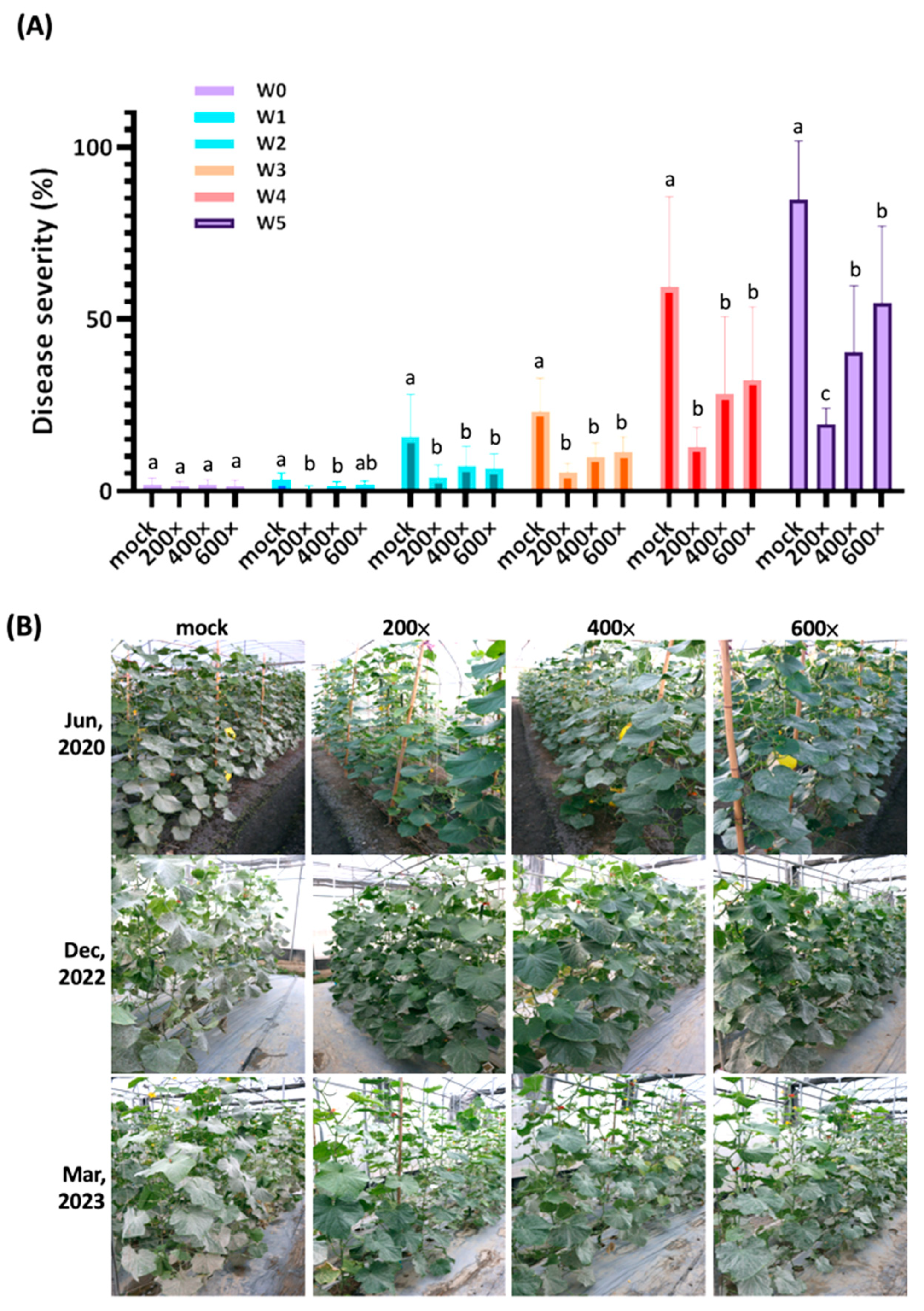 Agriculture 13 01558 g005 Agriculture 13 01558 g005