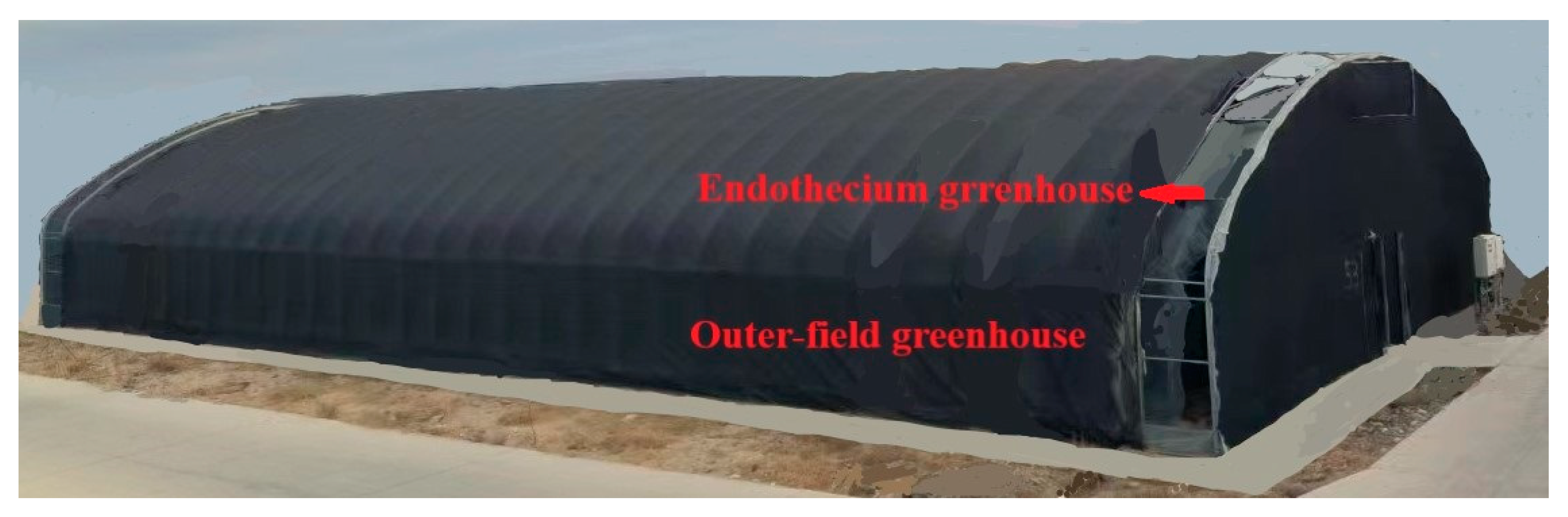 Agriculture 13 01560 g001 Agriculture 13 01560 g001