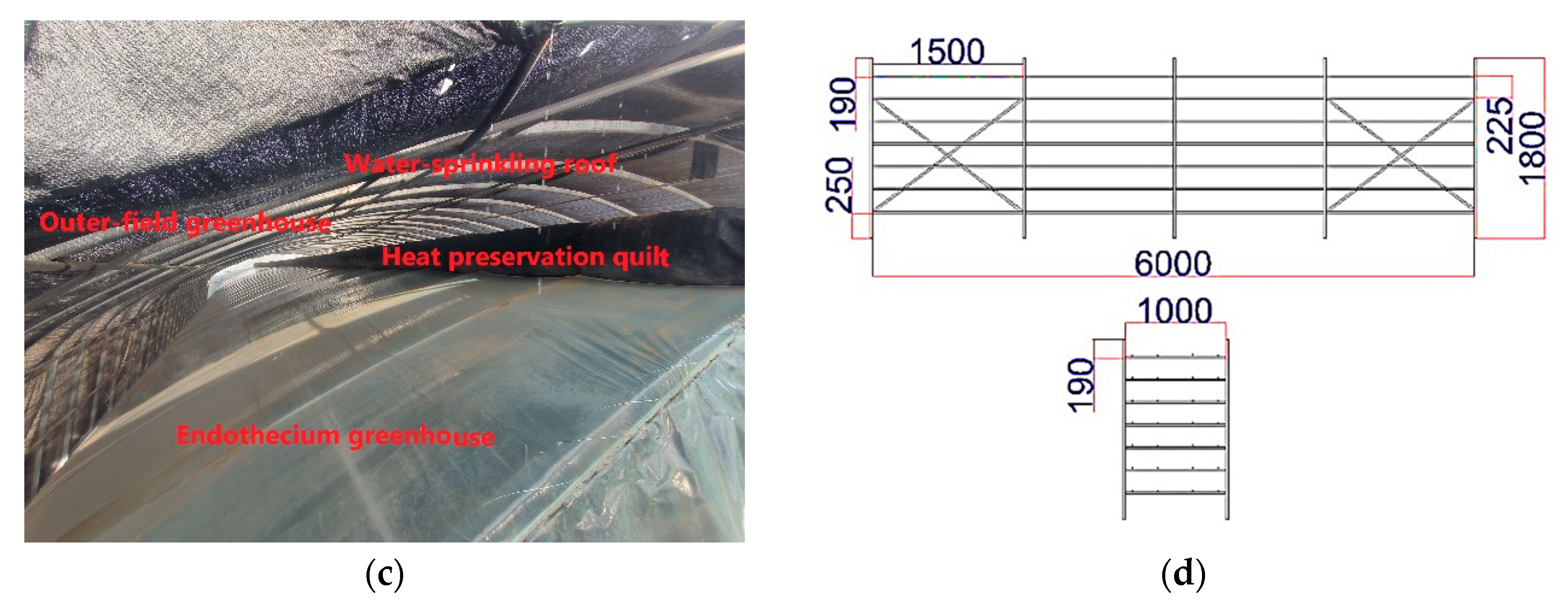 Agriculture 13 01560 g002b Agriculture 13 01560 g002b