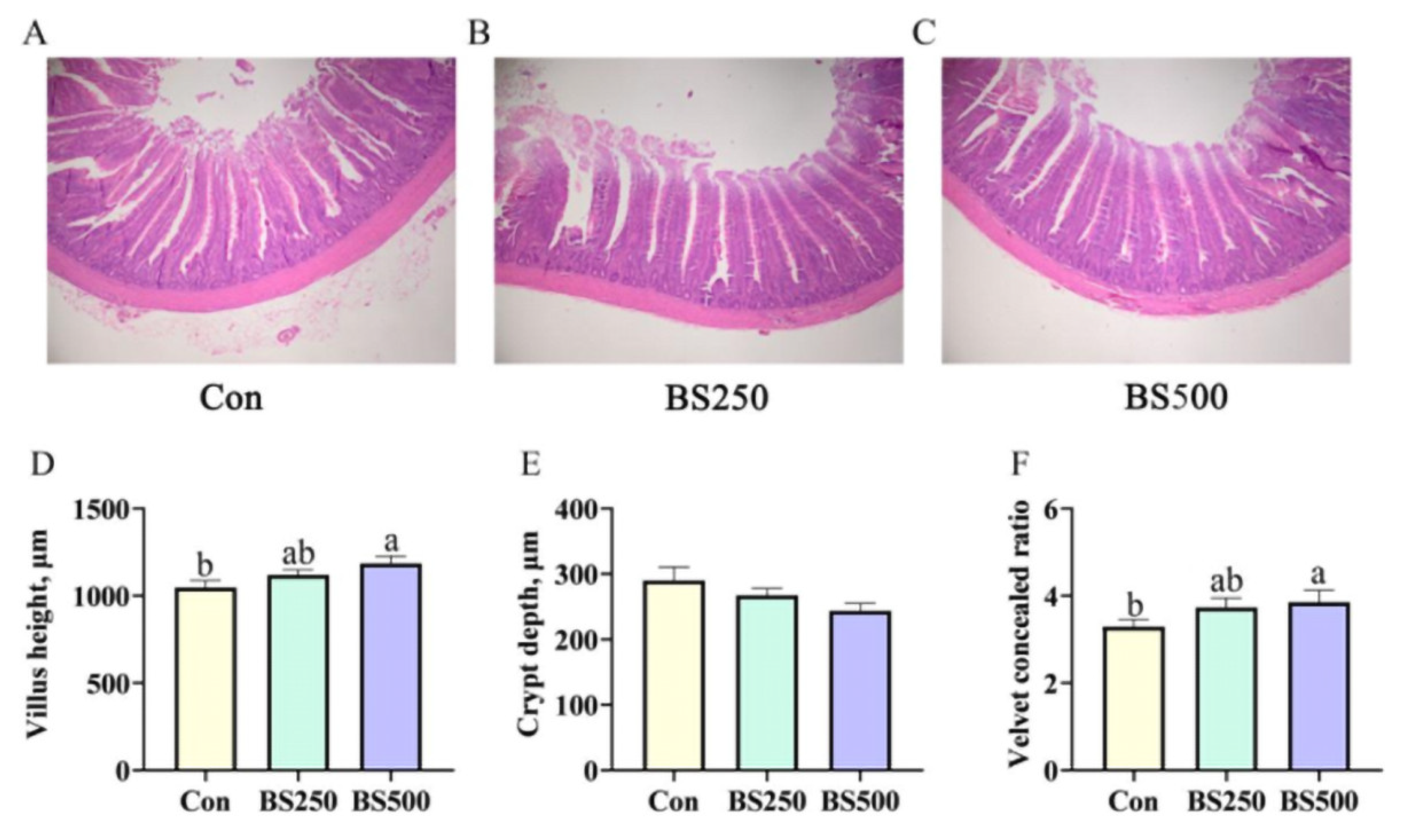 Agriculture 13 01561 g004 Agriculture 13 01561 g004