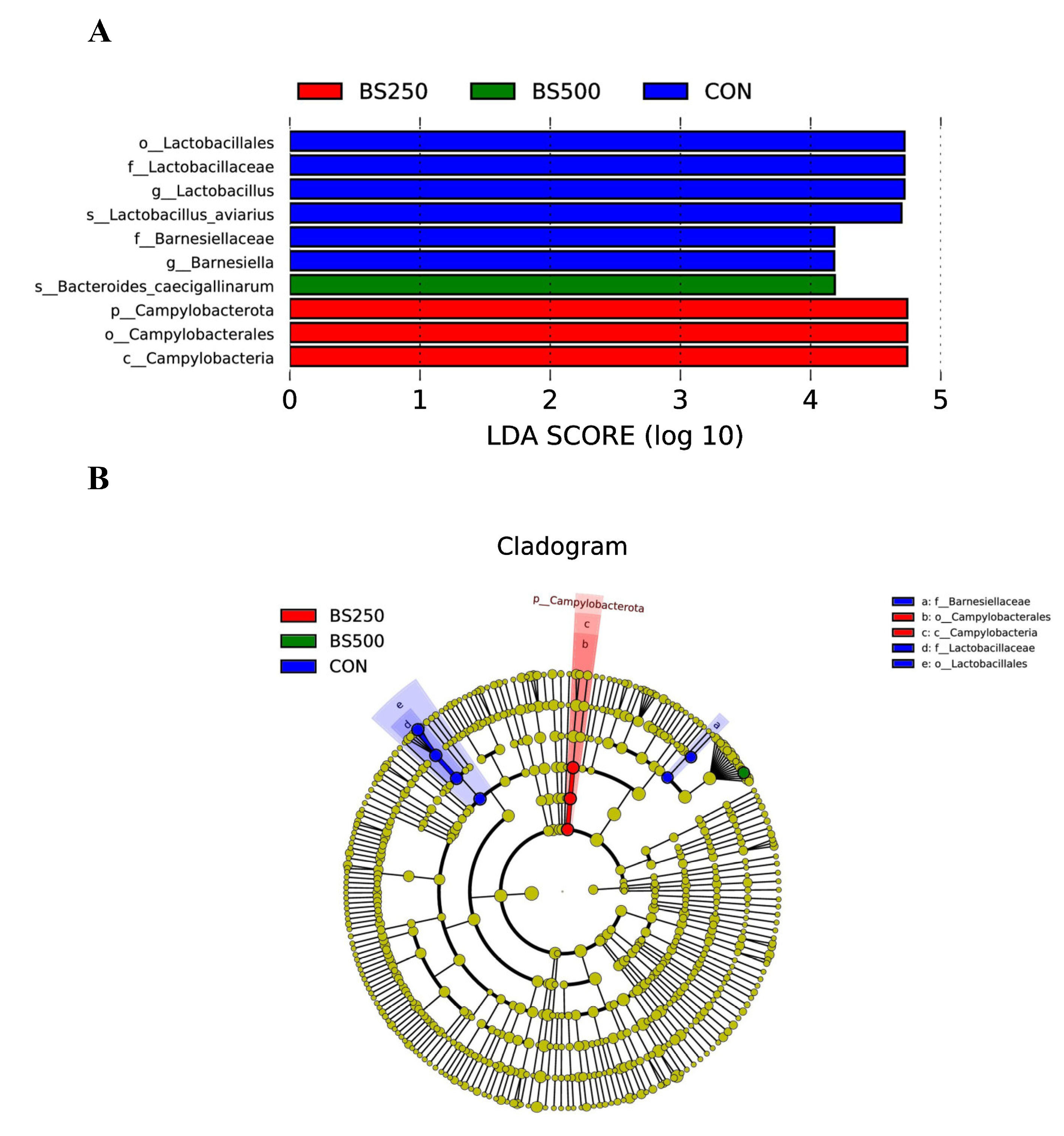 Agriculture 13 01561 g011 Agriculture 13 01561 g011
