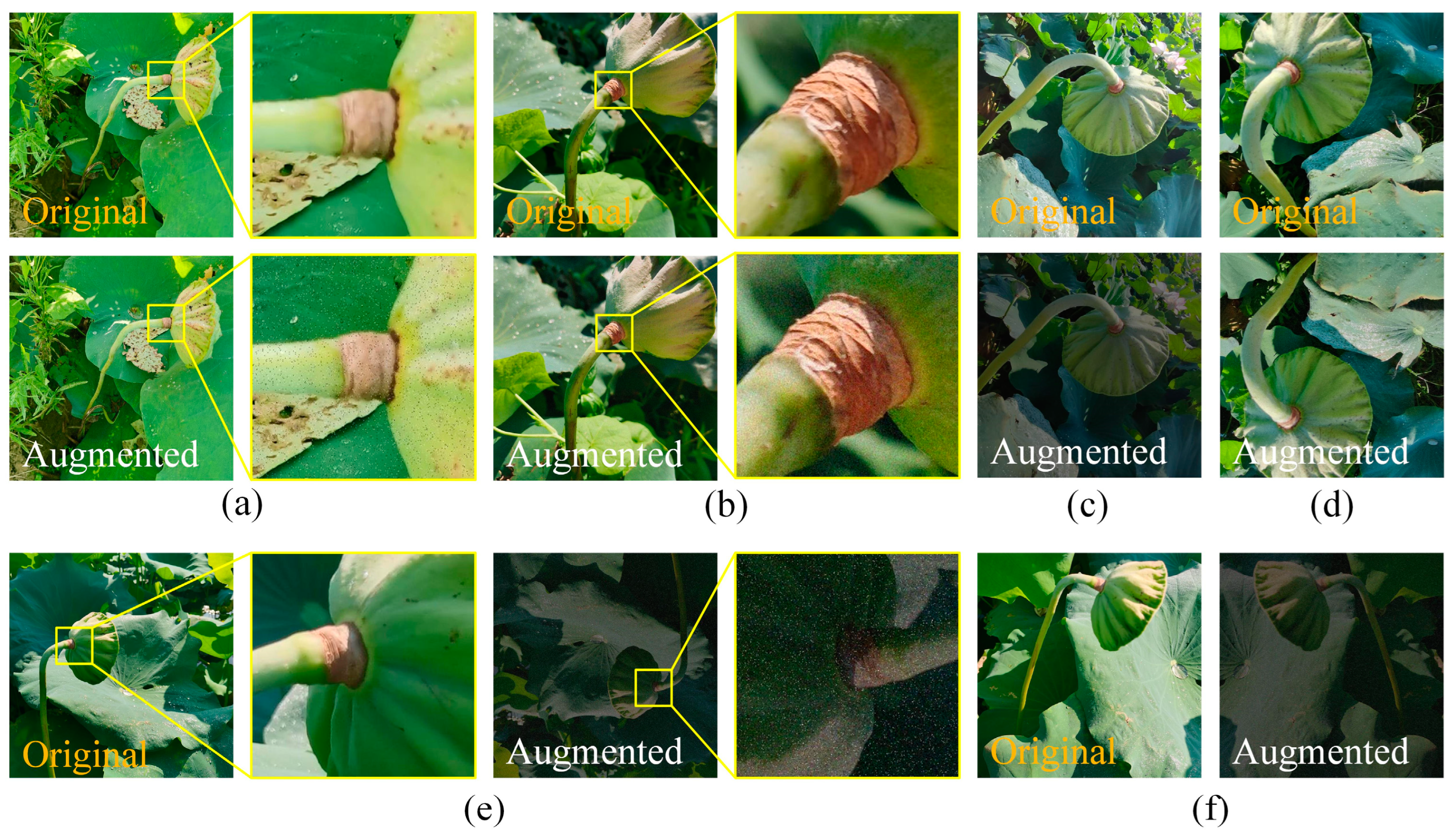 Agriculture 13 01568 g004 550