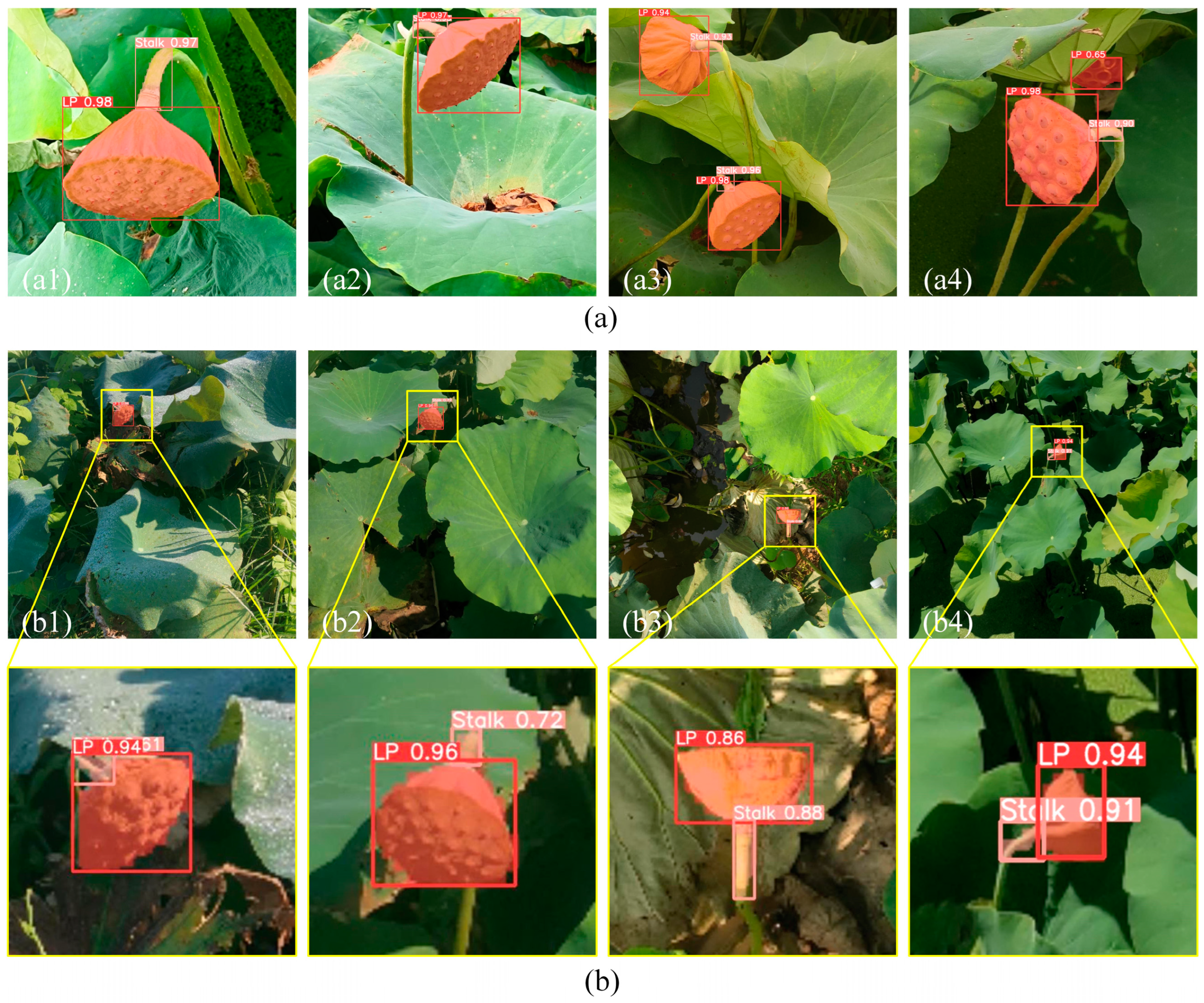 Agriculture 13 01568 g012 550