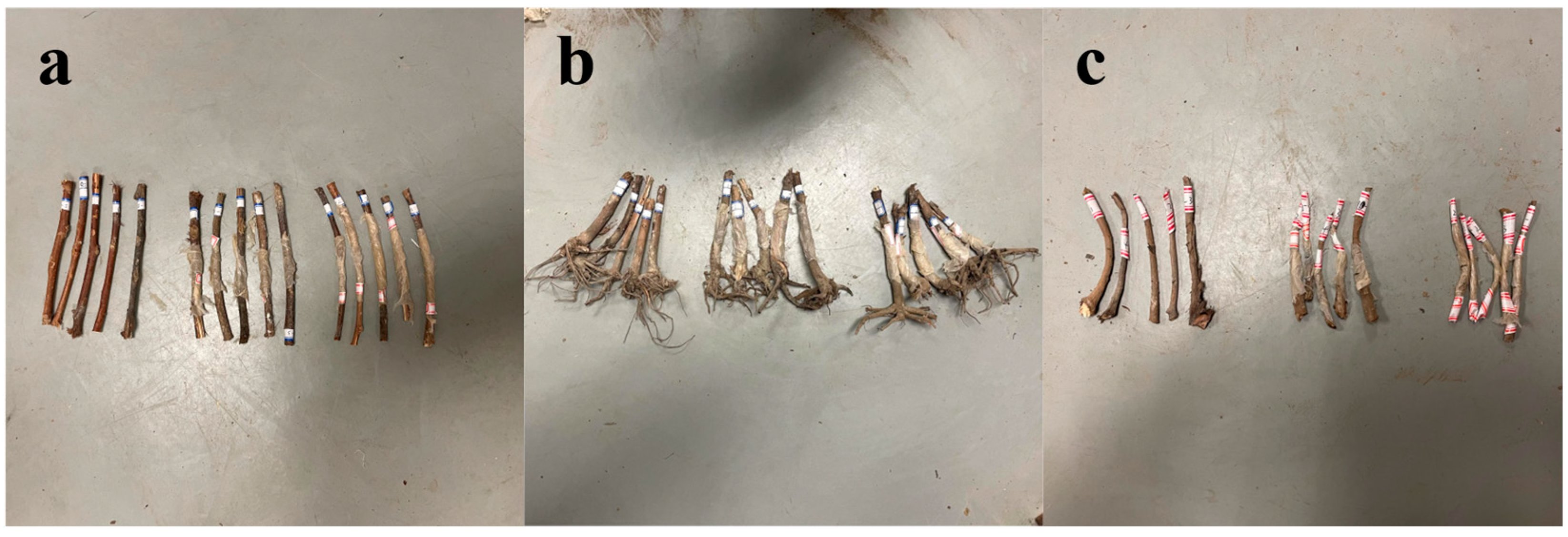 Agriculture 13 01572 g004